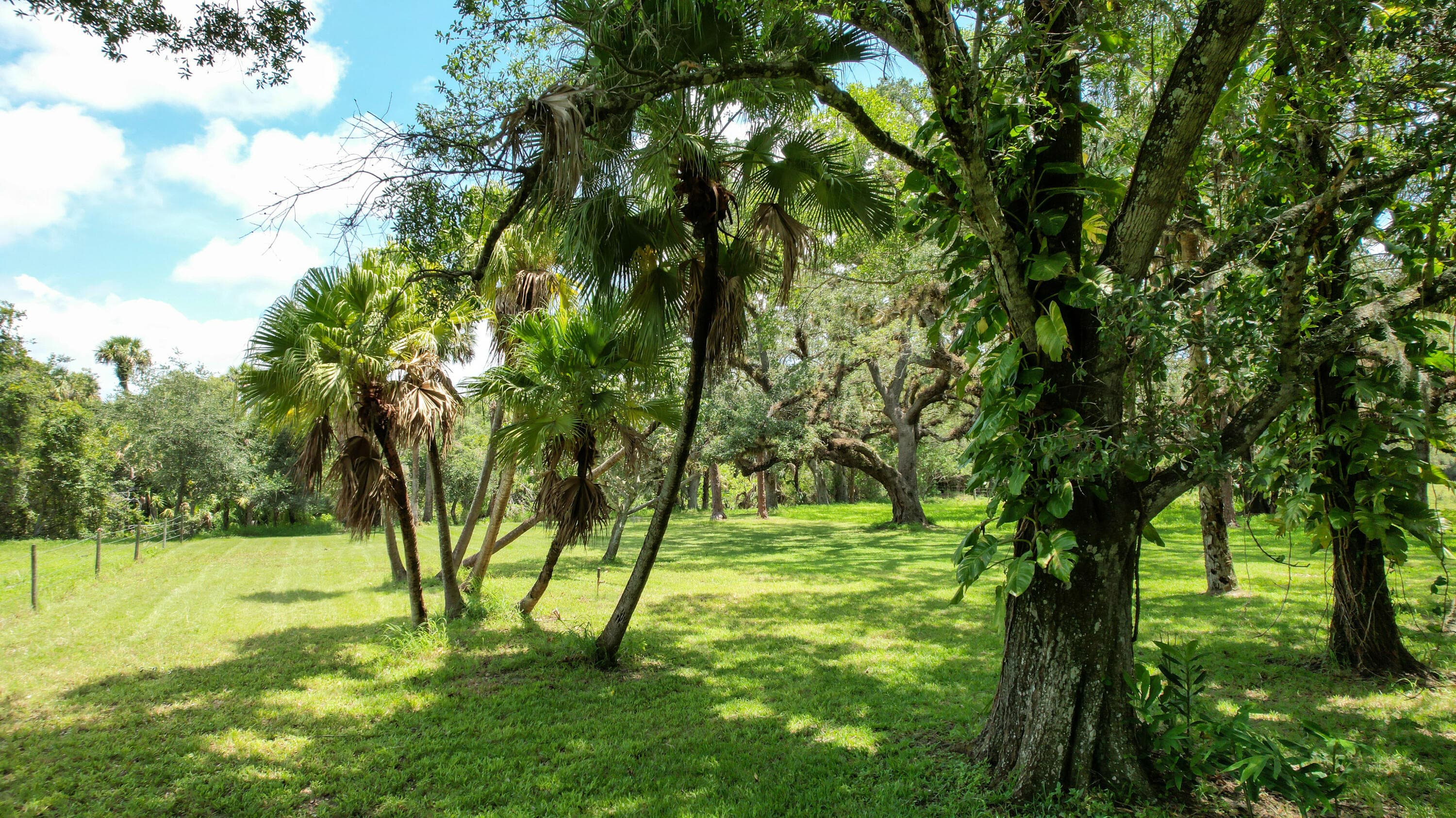 3605 Gordy Road, Fort Pierce, FL 34945 — photo 14 of 44