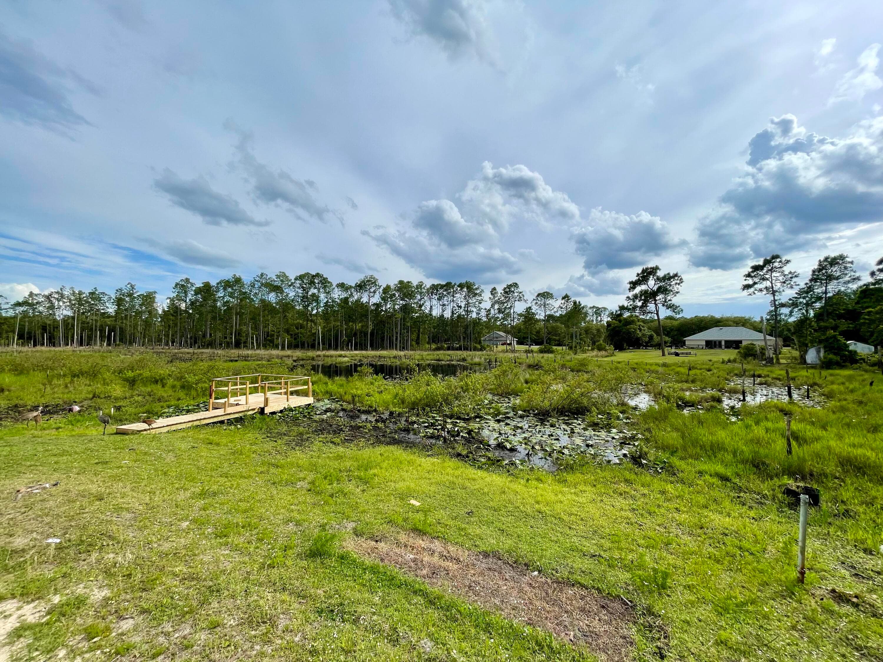 42111 Chinaberry Court, Eustis, FL 32736 — photo 38 of 67