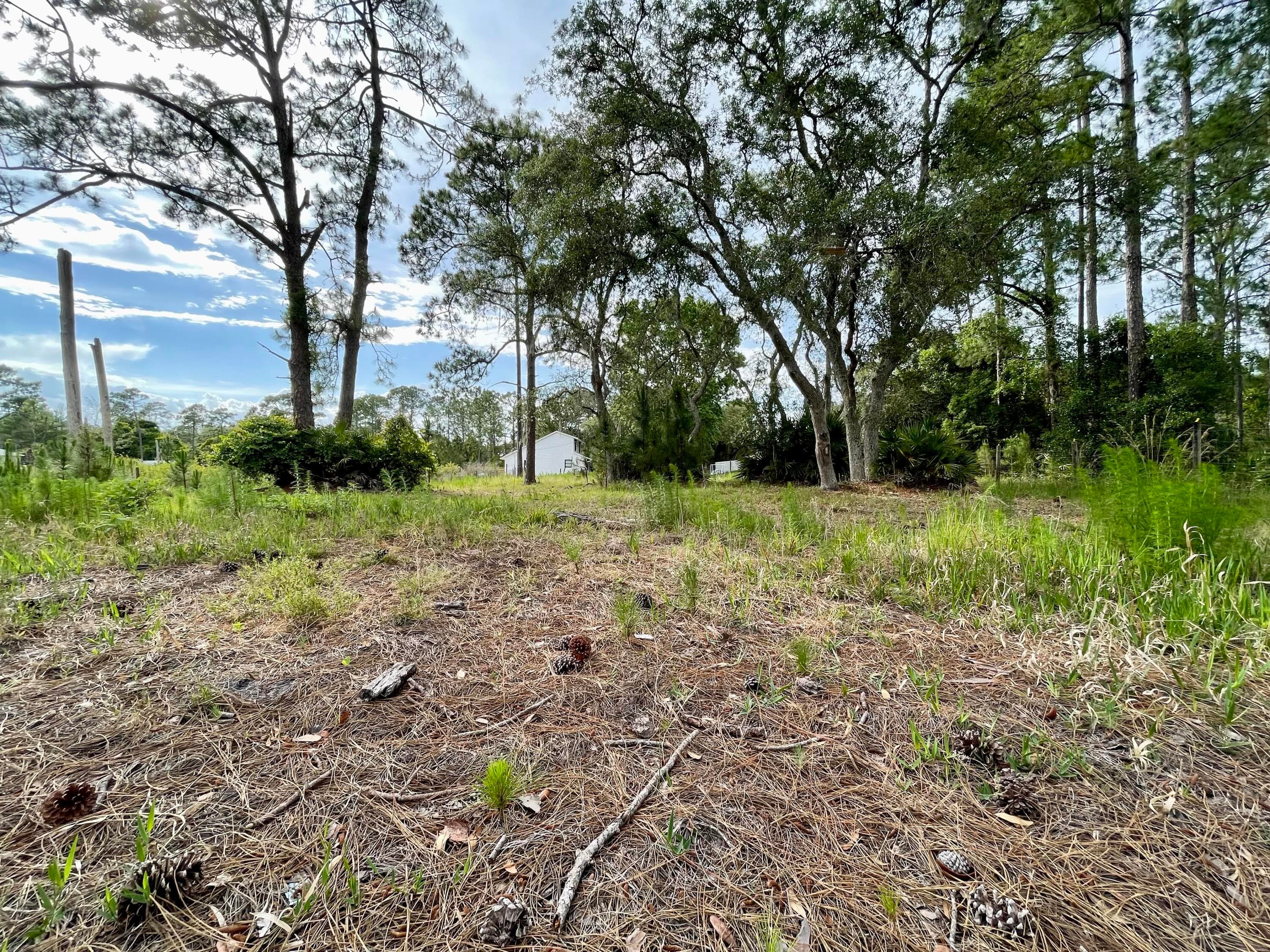 42111 Chinaberry Court, Eustis, FL 32736 — photo 58 of 67