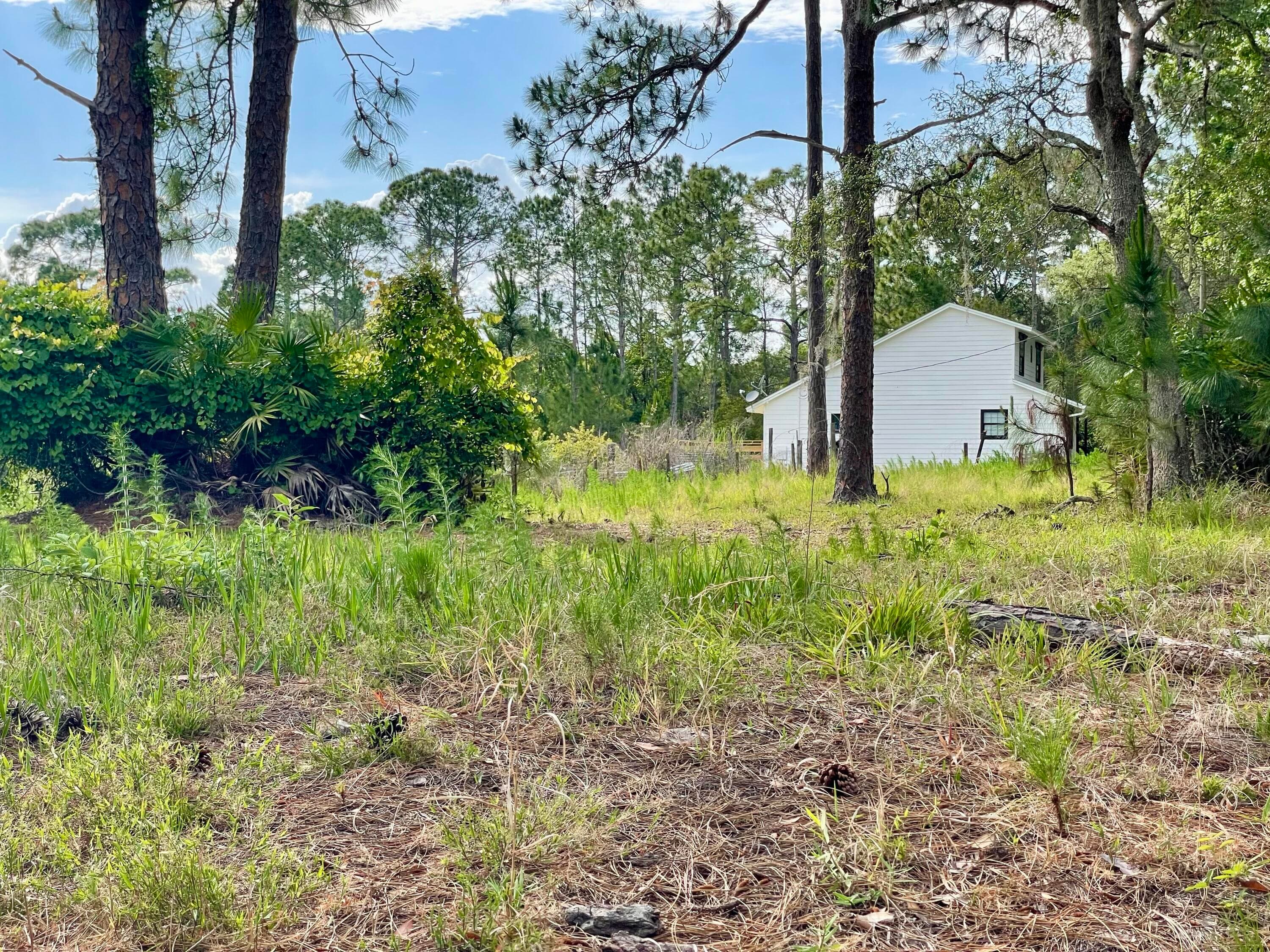 42111 Chinaberry Court, Eustis, FL 32736 — photo 59 of 67