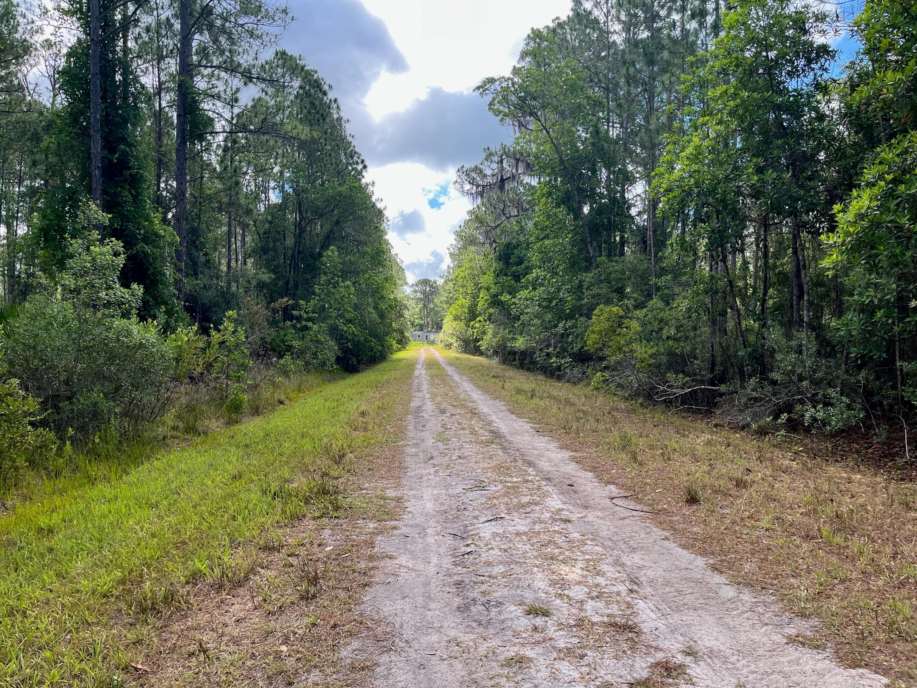 222 Marie Avenue, Georgetown, FL 32139 — photo 7 of 13