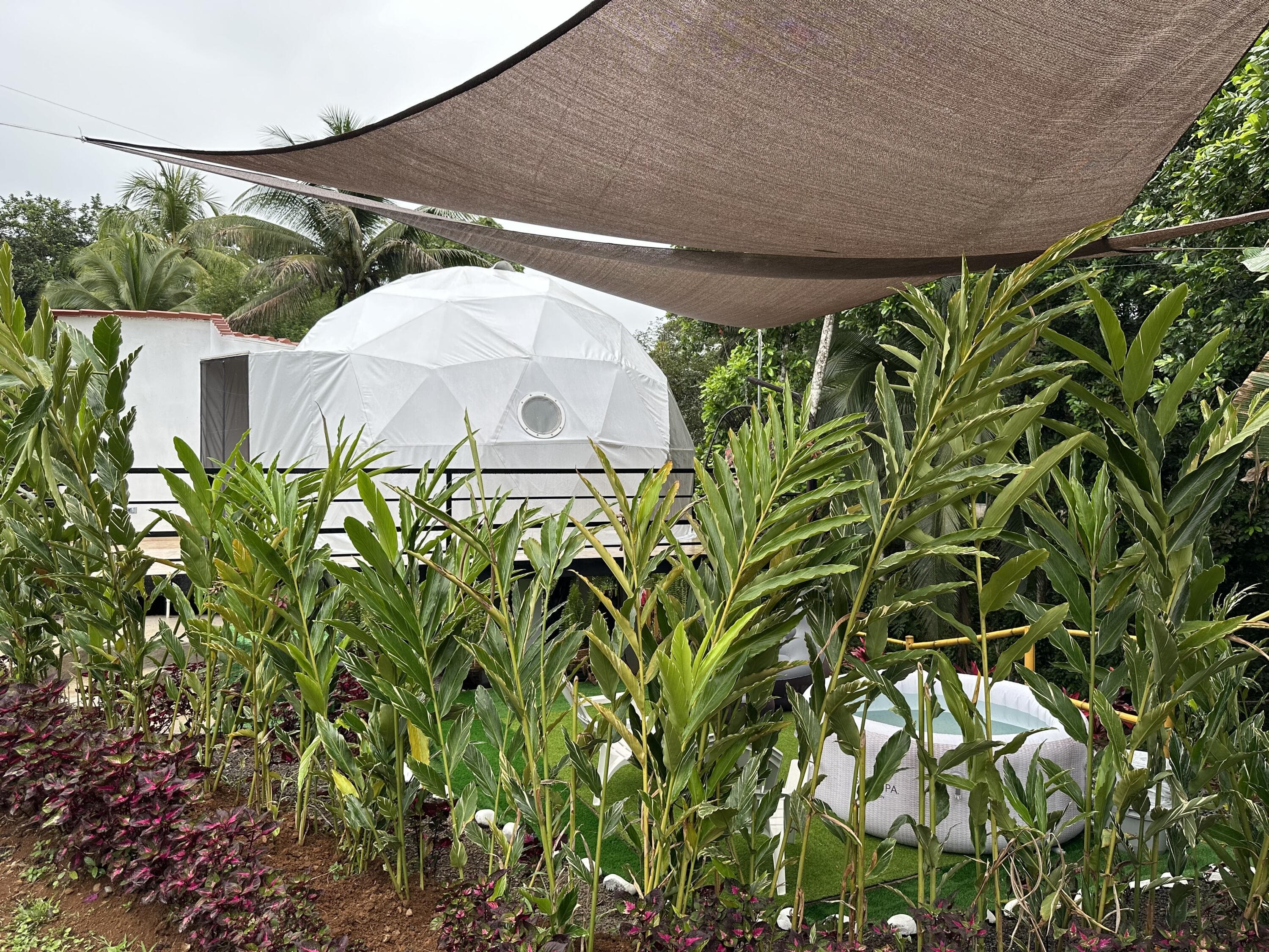 0000 Hope Garden, 00000 — photo 12 of 38