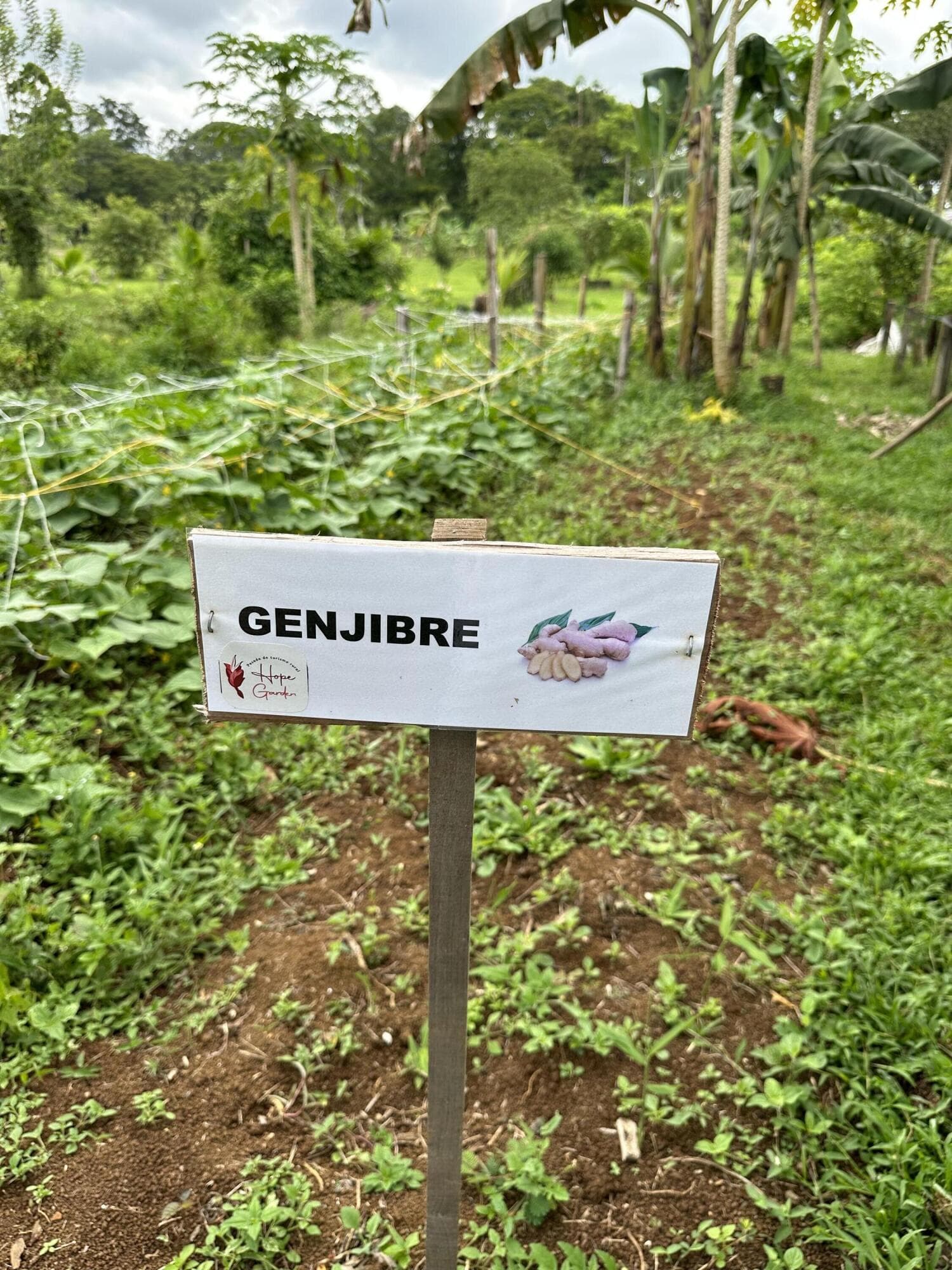 0000 Hope Garden, 00000 — photo 36 of 38