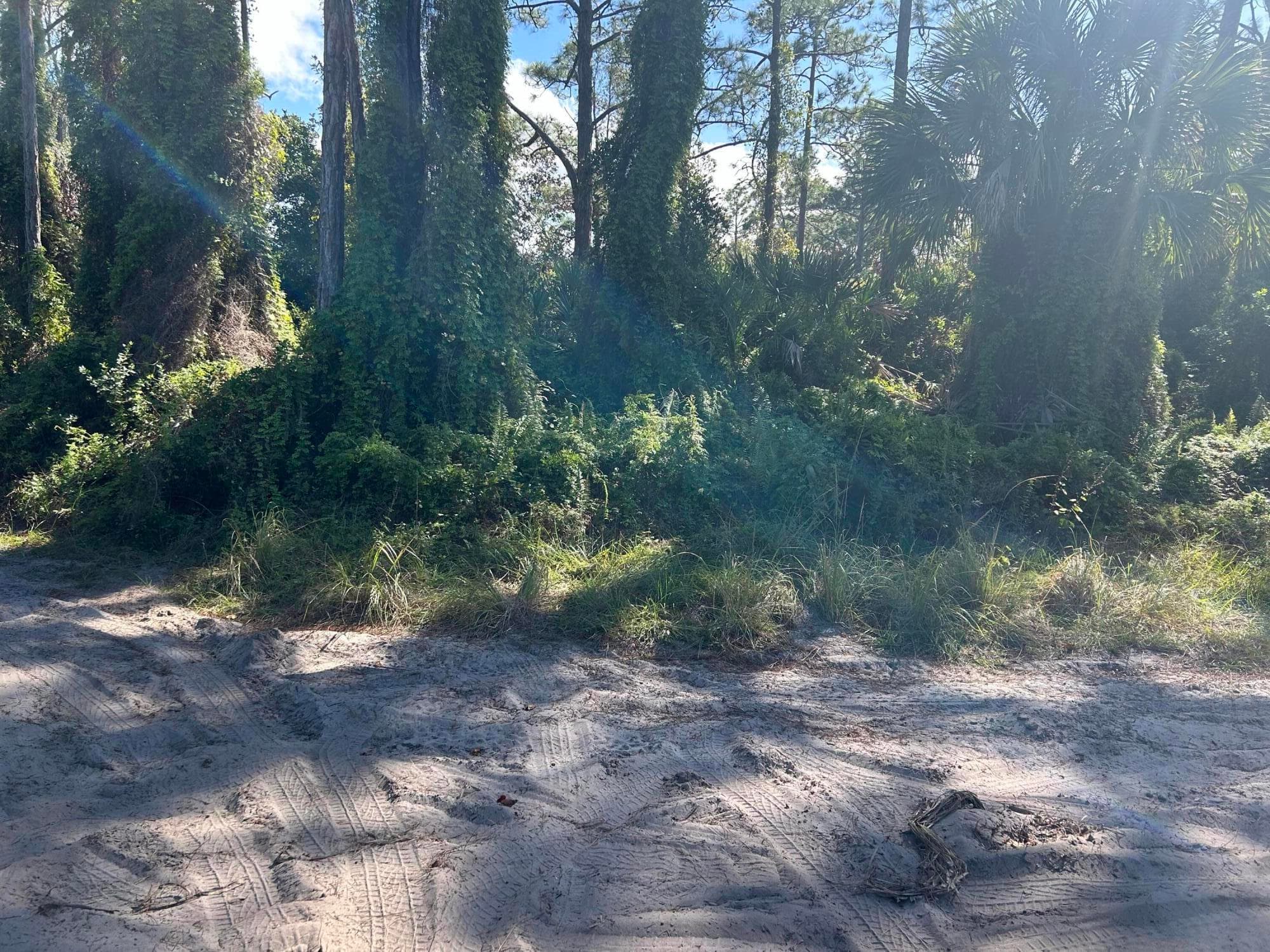 0 Slash Pine Trail, Fort Pierce, FL 34945 — photo 1 of 4