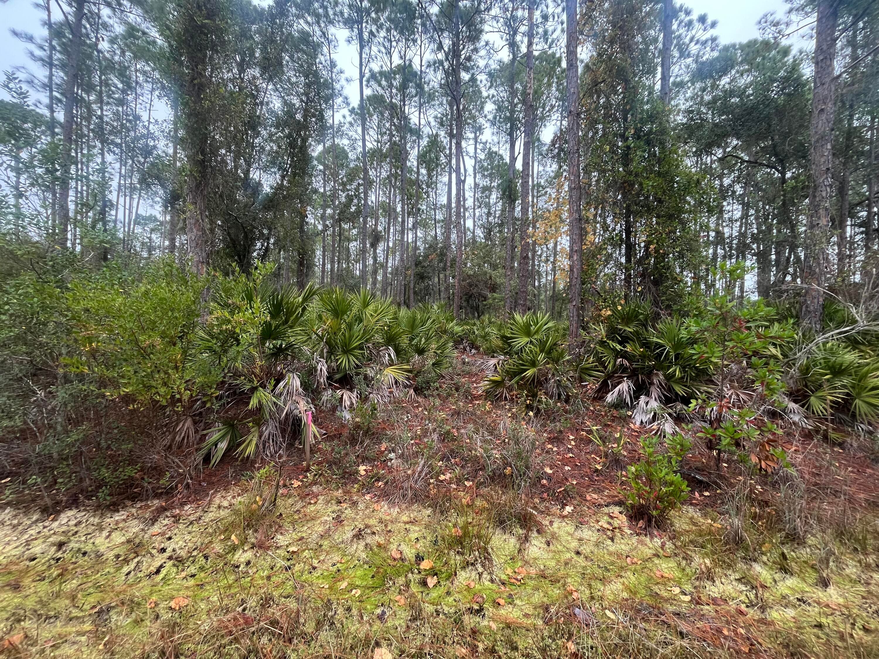 222 Marie Avenue, Georgetown, FL 32139 — photo