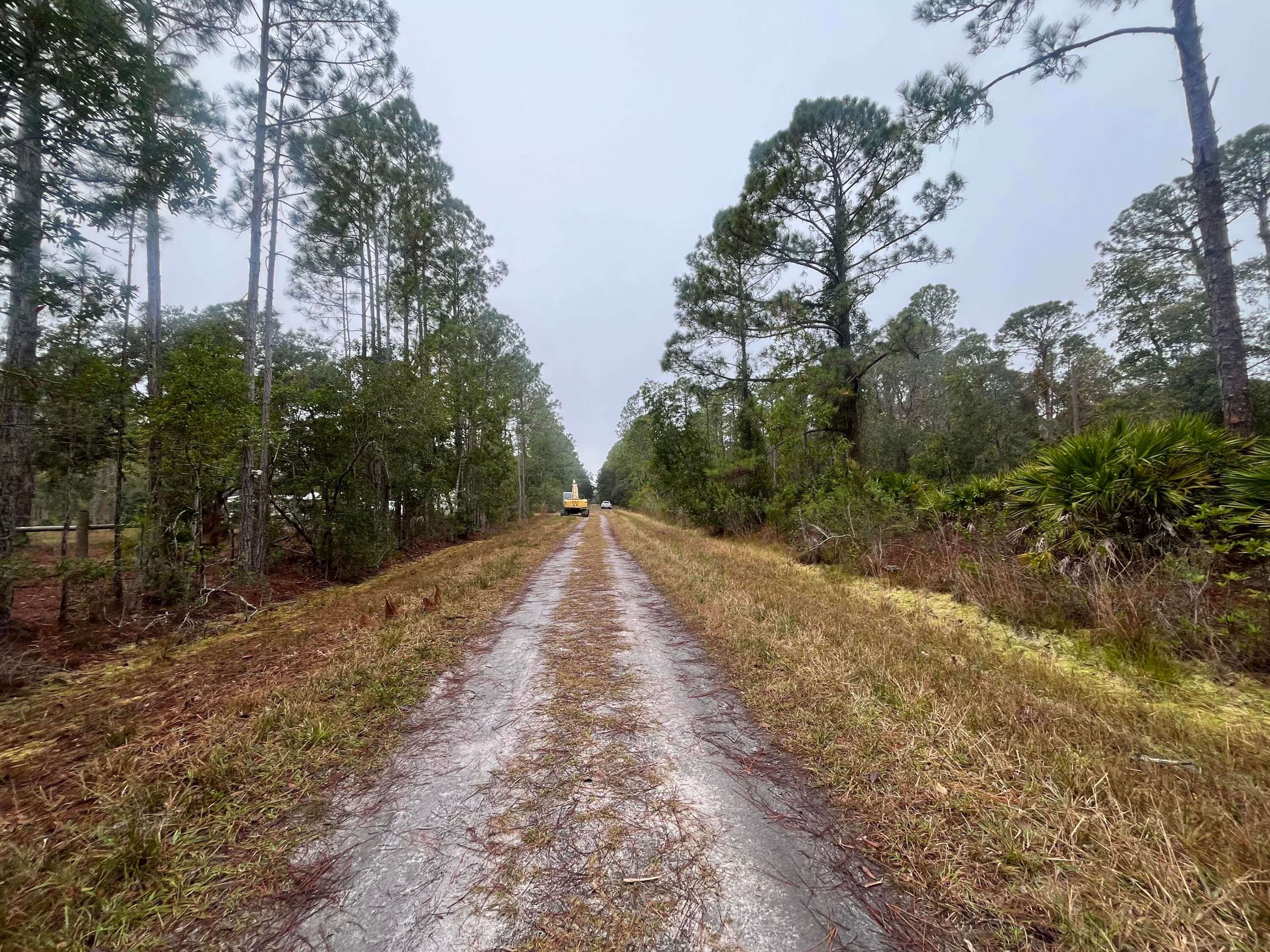 222 Marie Avenue, Georgetown, FL 32139 — photo 13 of 13