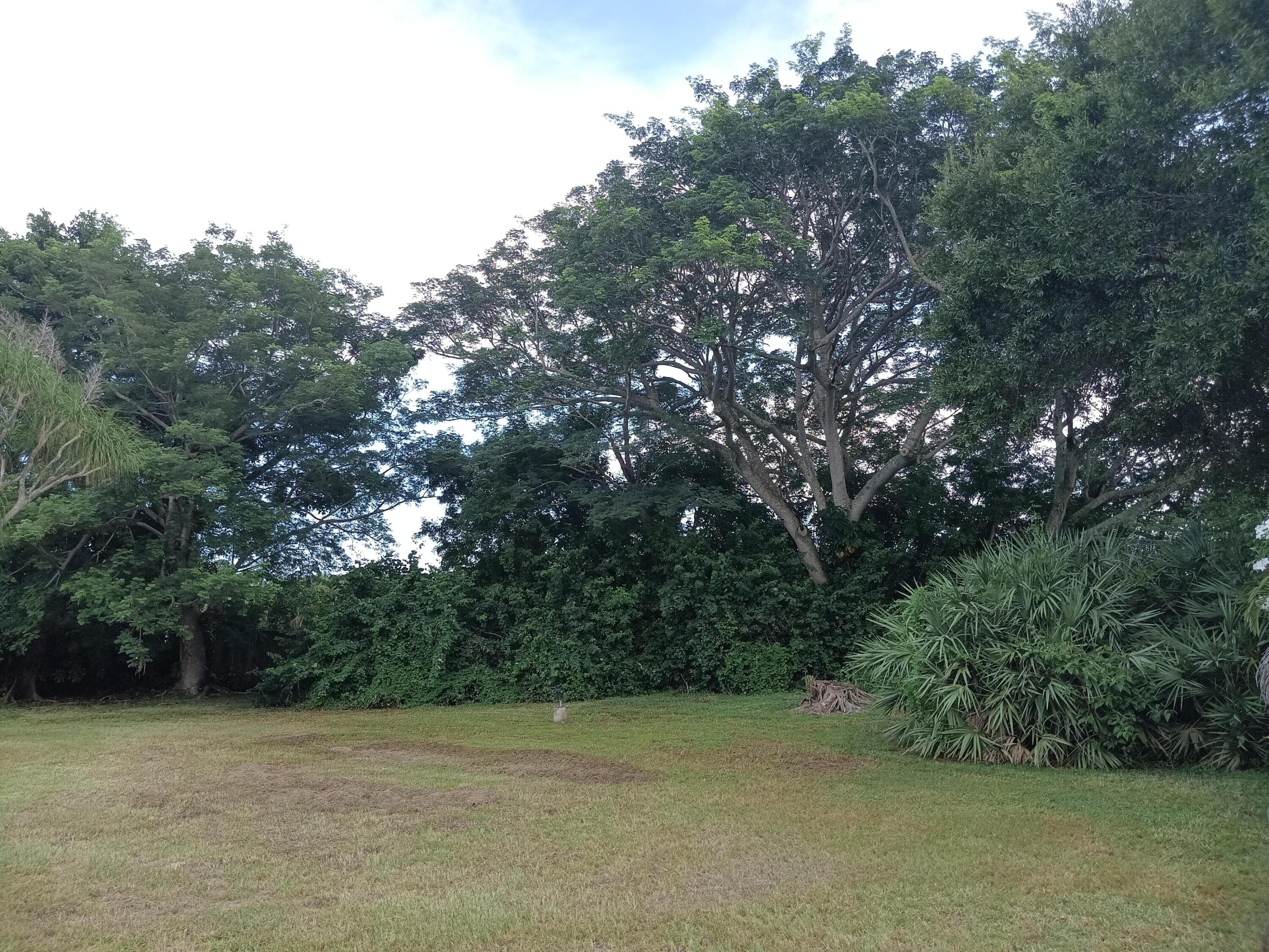 100 SE Naranja Avenue, Port St. Lucie, FL 34983 — photo 39 of 50