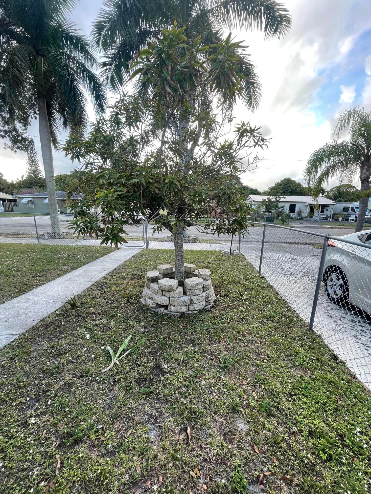 3024 Glenwood Road, West Palm Beach, FL 33405 — photo 4 of 38