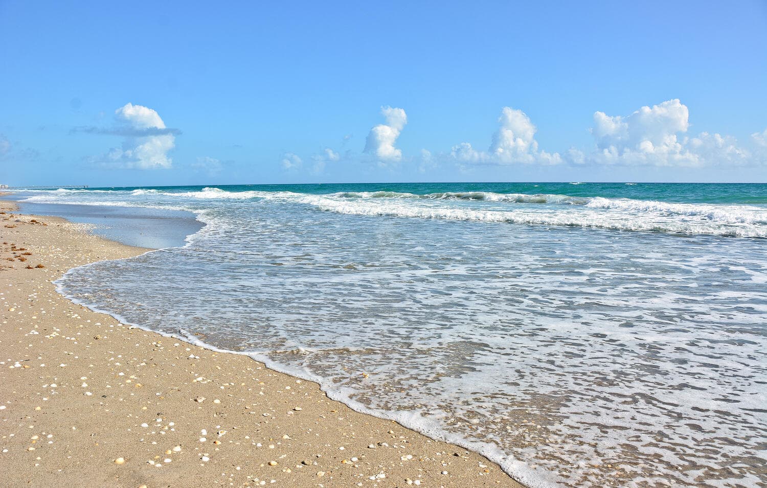 50 Celestial Way 101, Juno Beach, FL 33408 — photo 23 of 24