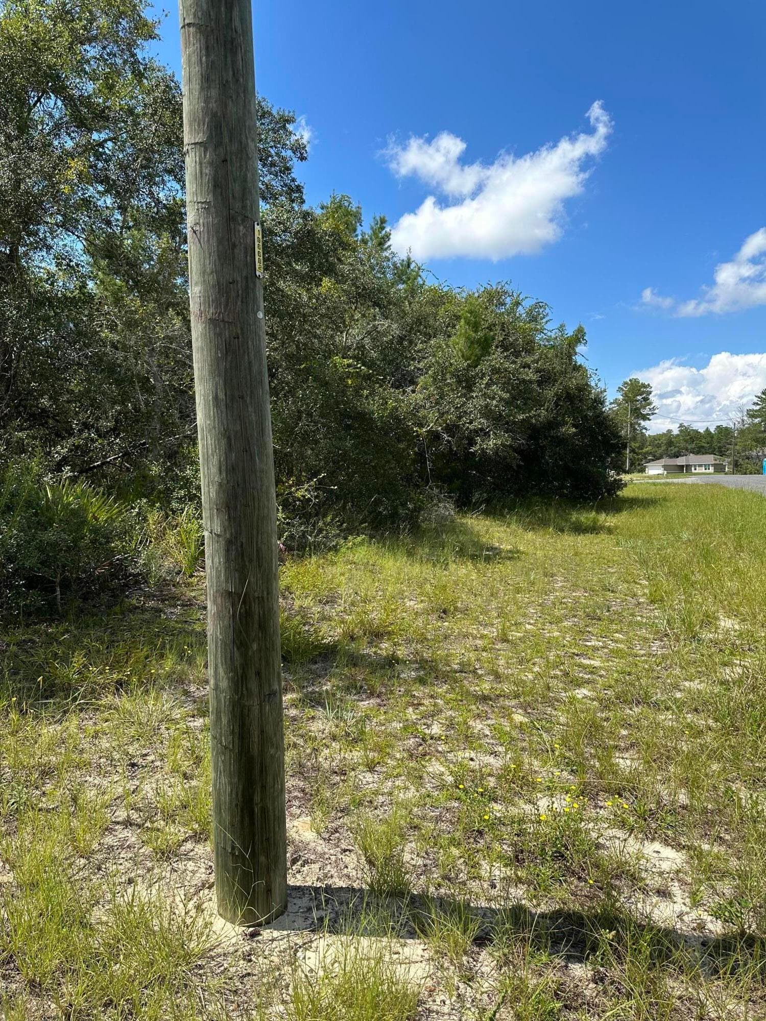 0000 SW 168th Loop, FL 34473 — photo 3 of 5