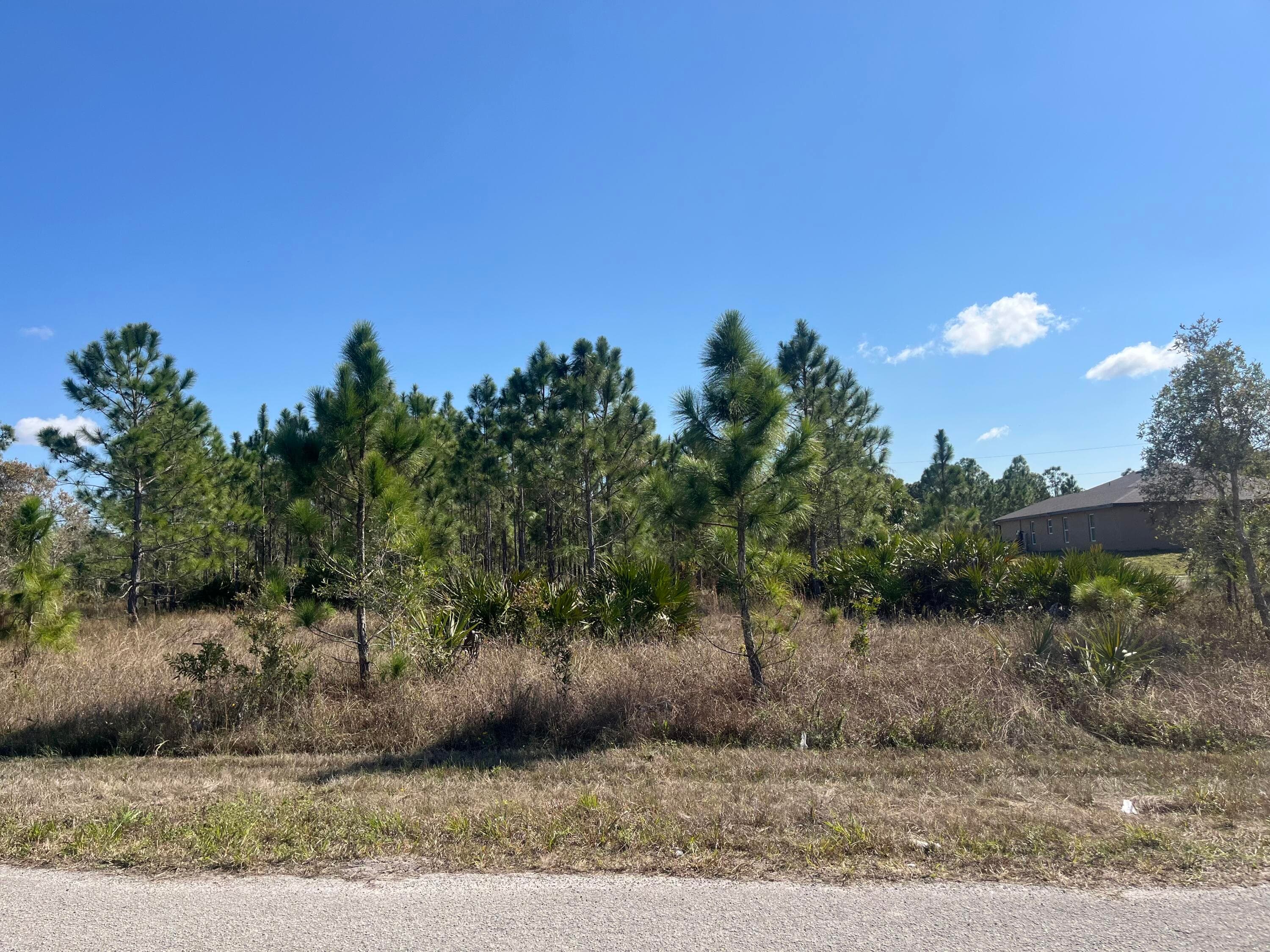 1247 Brunell Avenue, Fort Myers, FL 33913 — photo