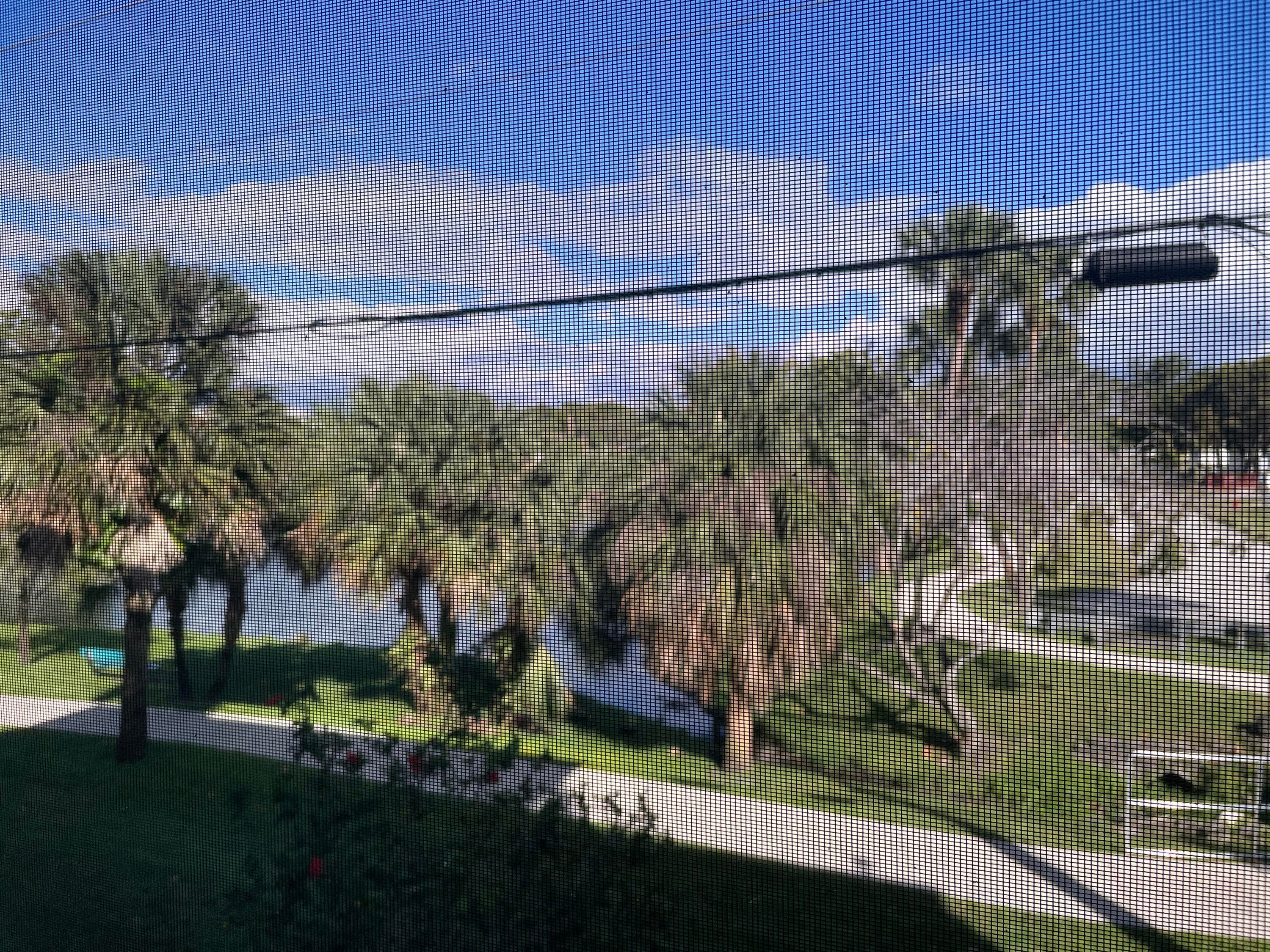 225 Bonnie Boulevard 211, Palm Springs, FL 33461 — photo 38 of 57