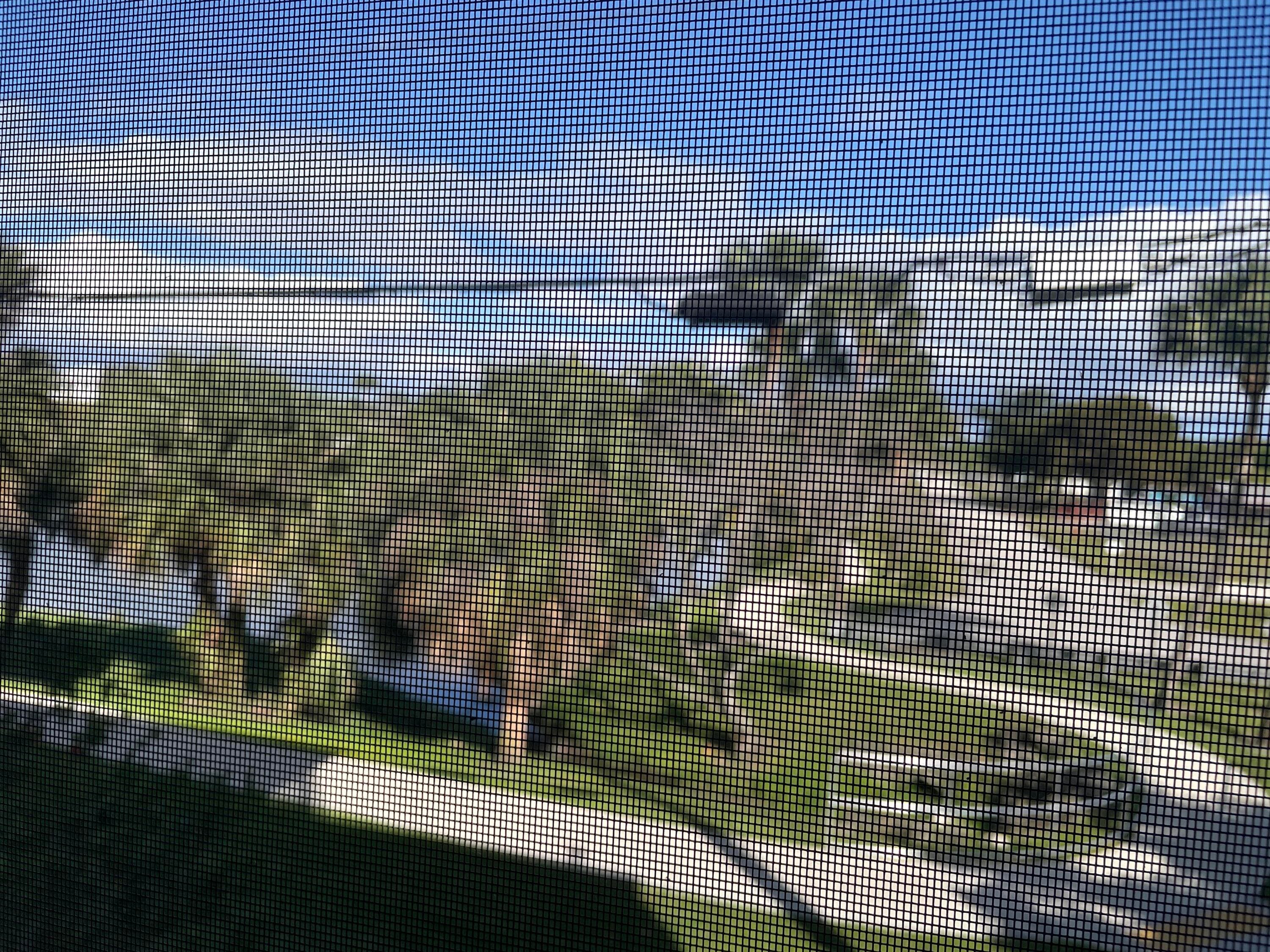 225 Bonnie Boulevard 211, Palm Springs, FL 33461 — photo 39 of 57