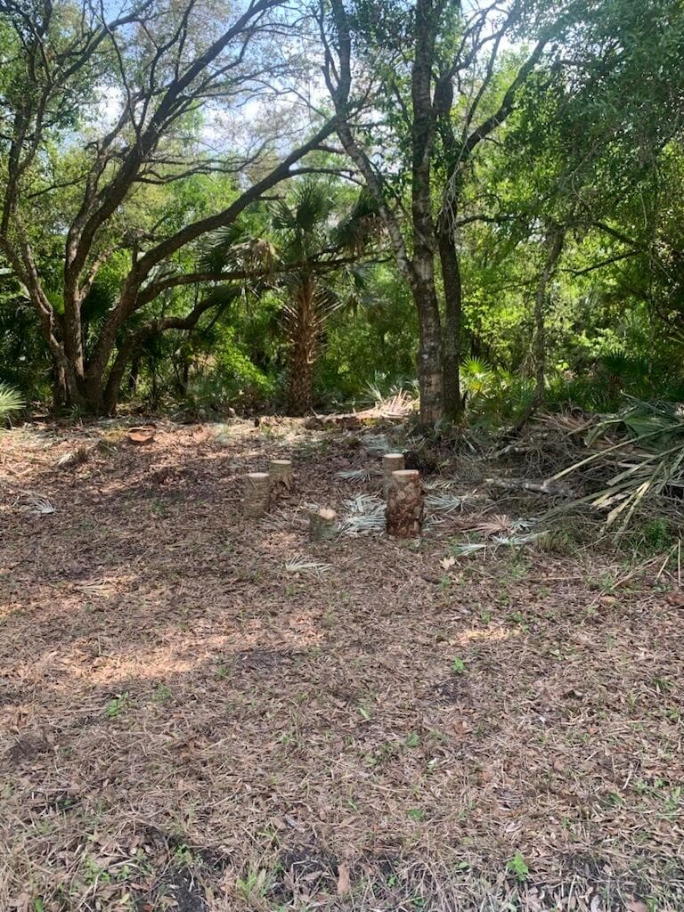 17774 NW 254th Street, Okeechobee, FL 34972 — photo 14 of 17
