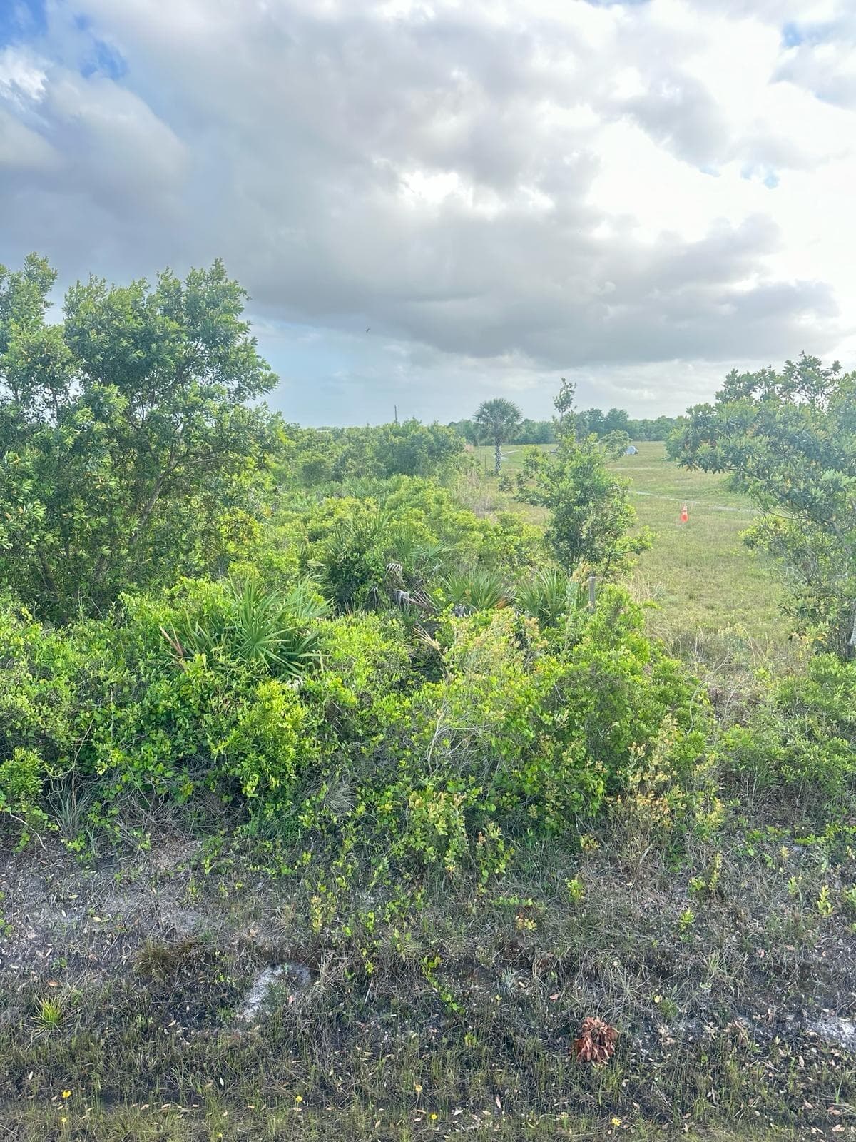 16220 NW 264th Street, Okeechobee, FL 34972 — photo 1 of 2