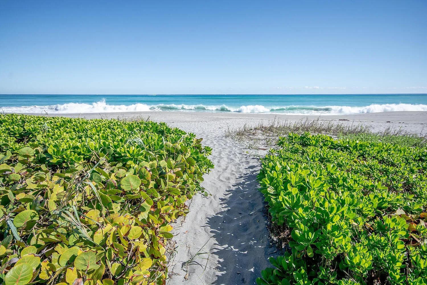 120 Celestial Way 302, Juno Beach, FL 33408 — photo 51 of 51