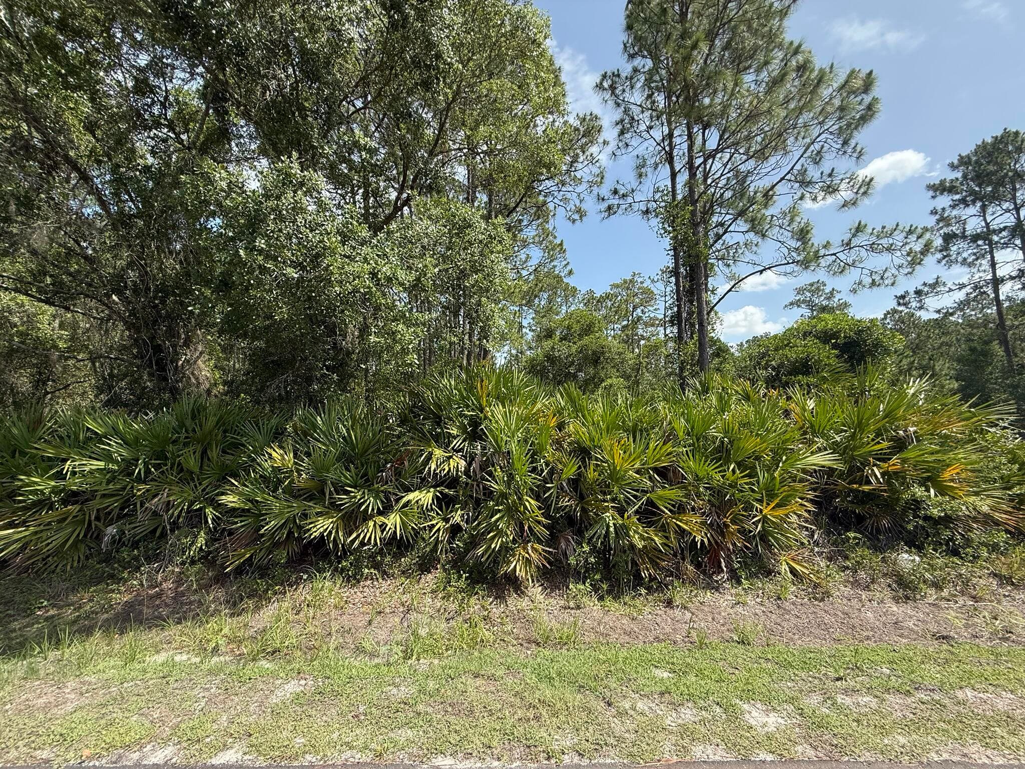 174 Millican Road, Palatka, FL 32177 — photo 4 of 9