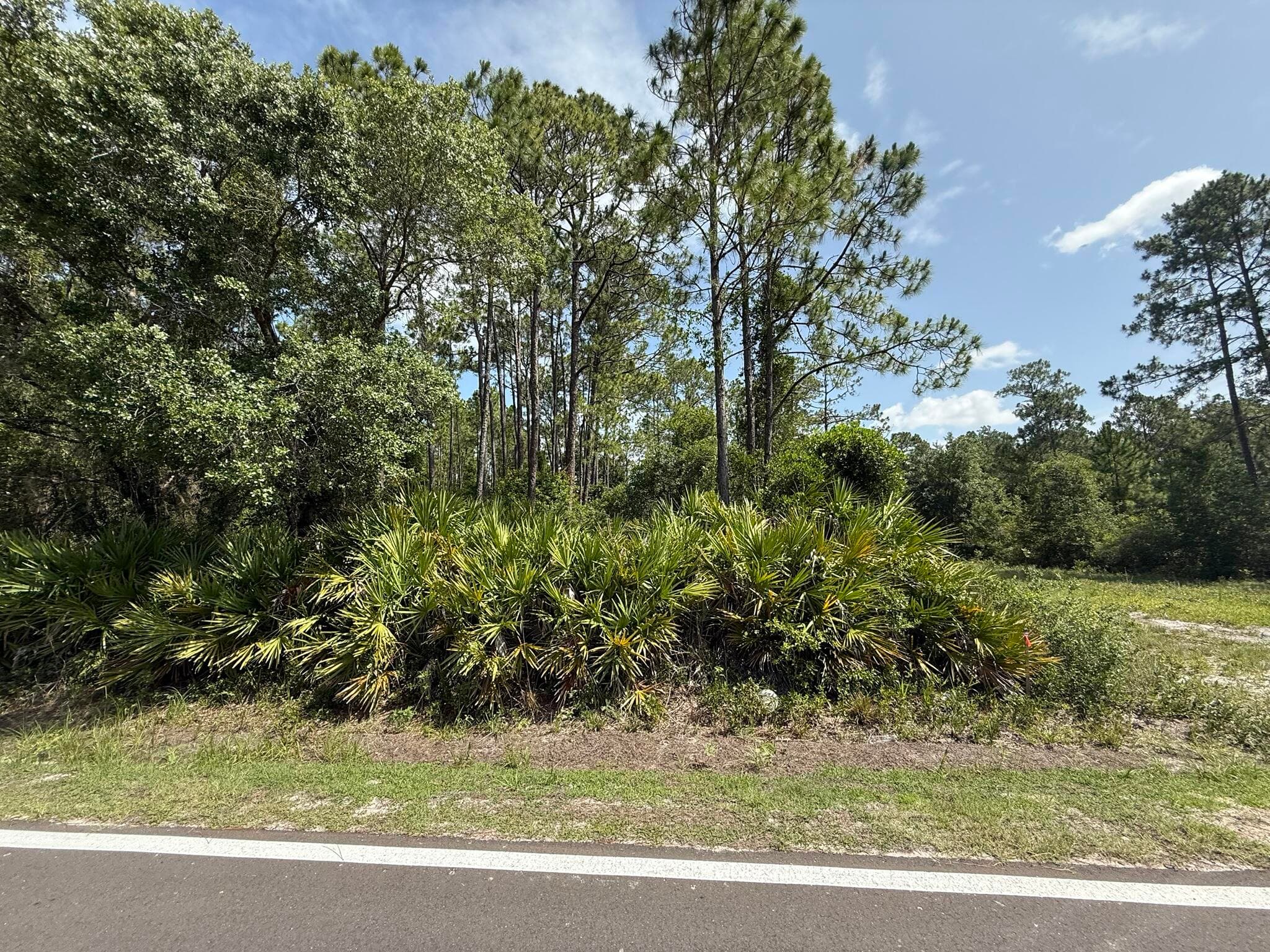 174 Millican Road, Palatka, FL 32177 — photo 6 of 9