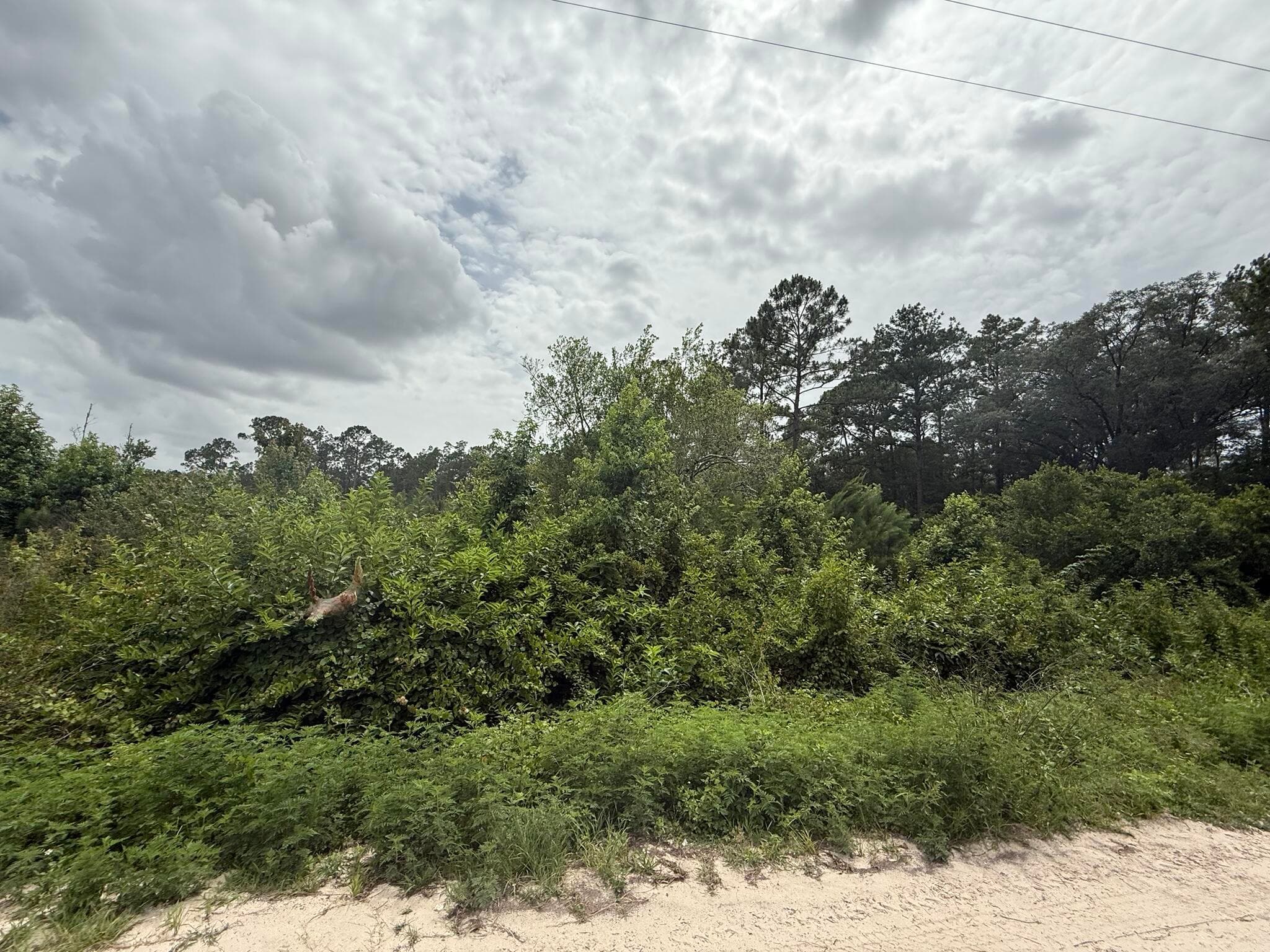 129 Fishermans Drive, Interlachen, FL 32148 — photo
