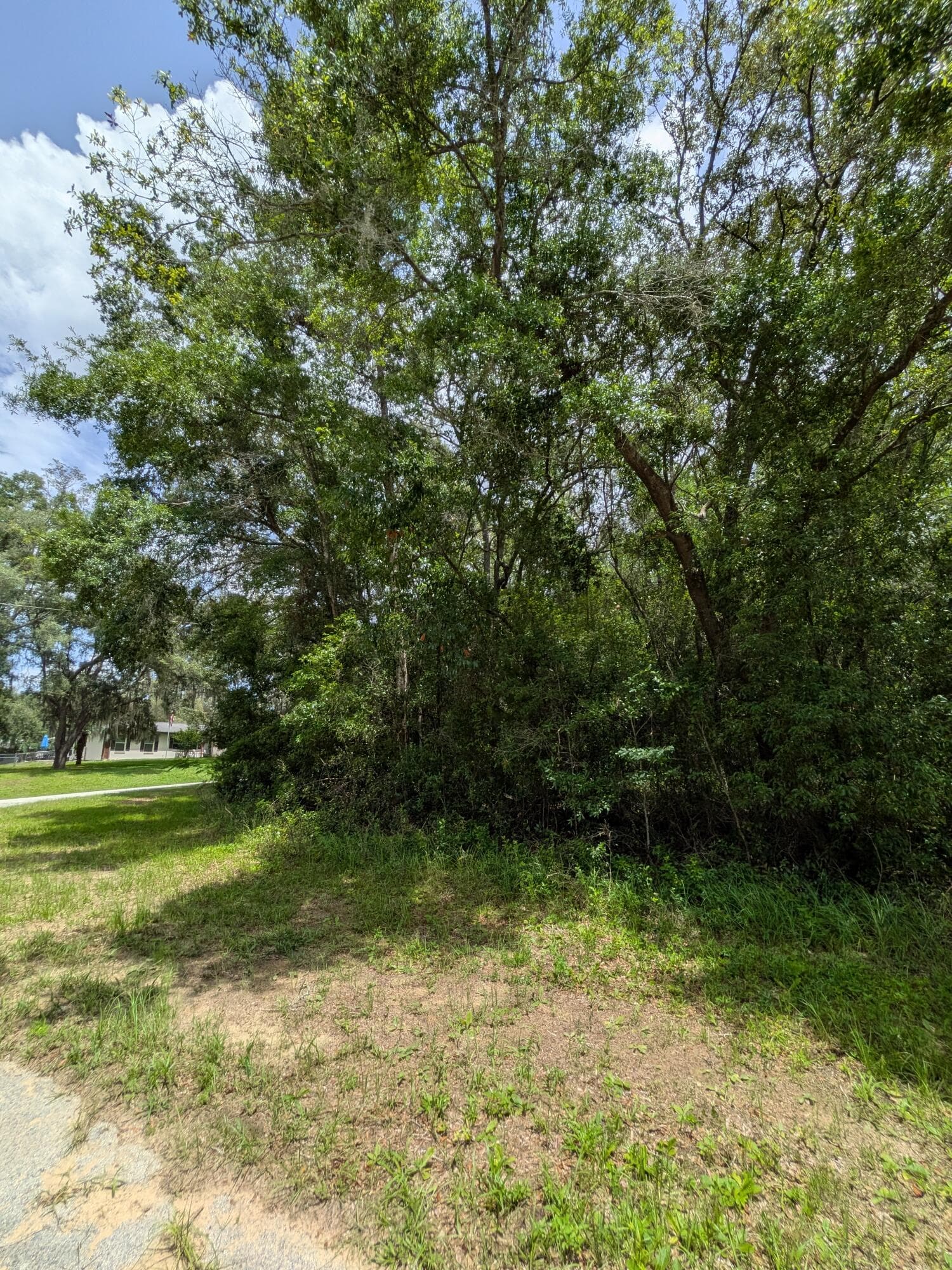 8989 N Conch Terrace, Dunnellon, FL 34434 — photo 2 of 4