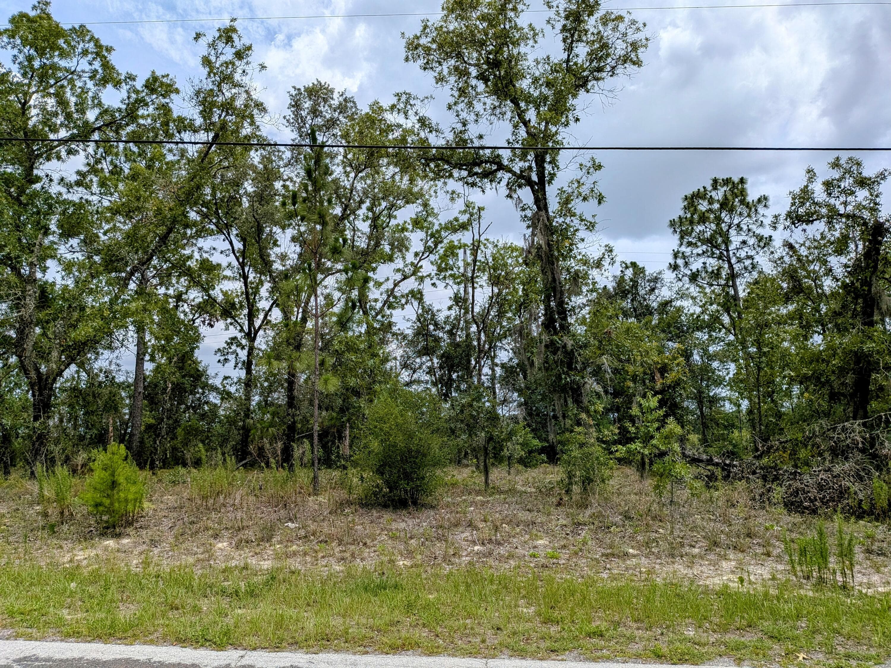 2450 W Rutland Drive, Citrus Springs, FL 34434 — photo