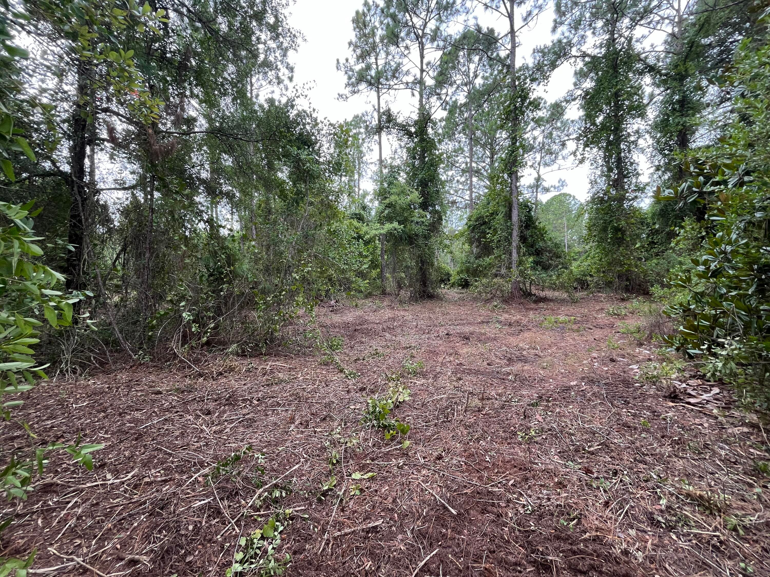 147 Roebuck Street, Georgetown, FL 32139 — photo 5 of 12
