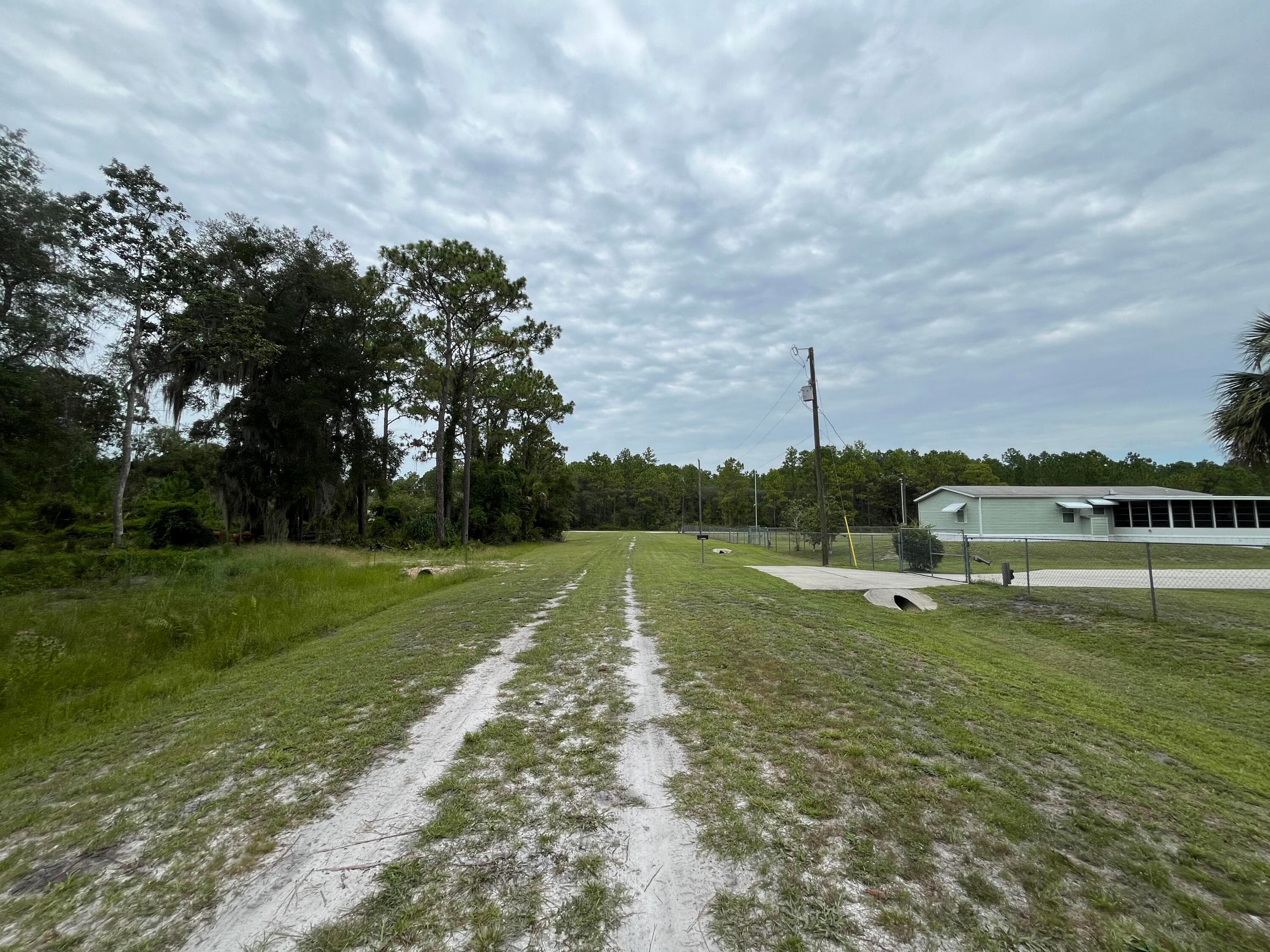 147 Roebuck Street, Georgetown, FL 32139 — photo 6 of 12