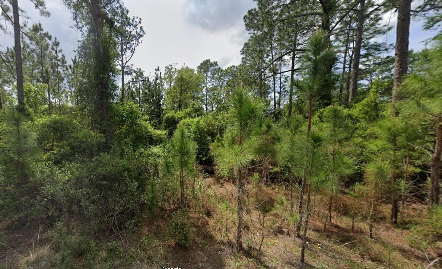 147 Roebuck Street, Georgetown, FL 32139 — photo 9 of 12