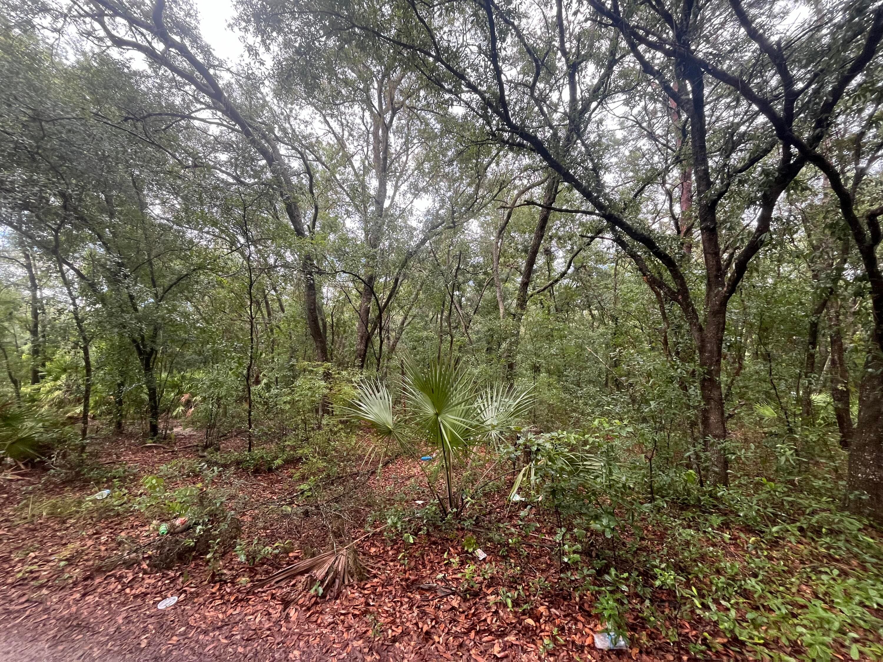 Tbd Delaware Avenue, Interlachen, FL 32148 — photo 5 of 9