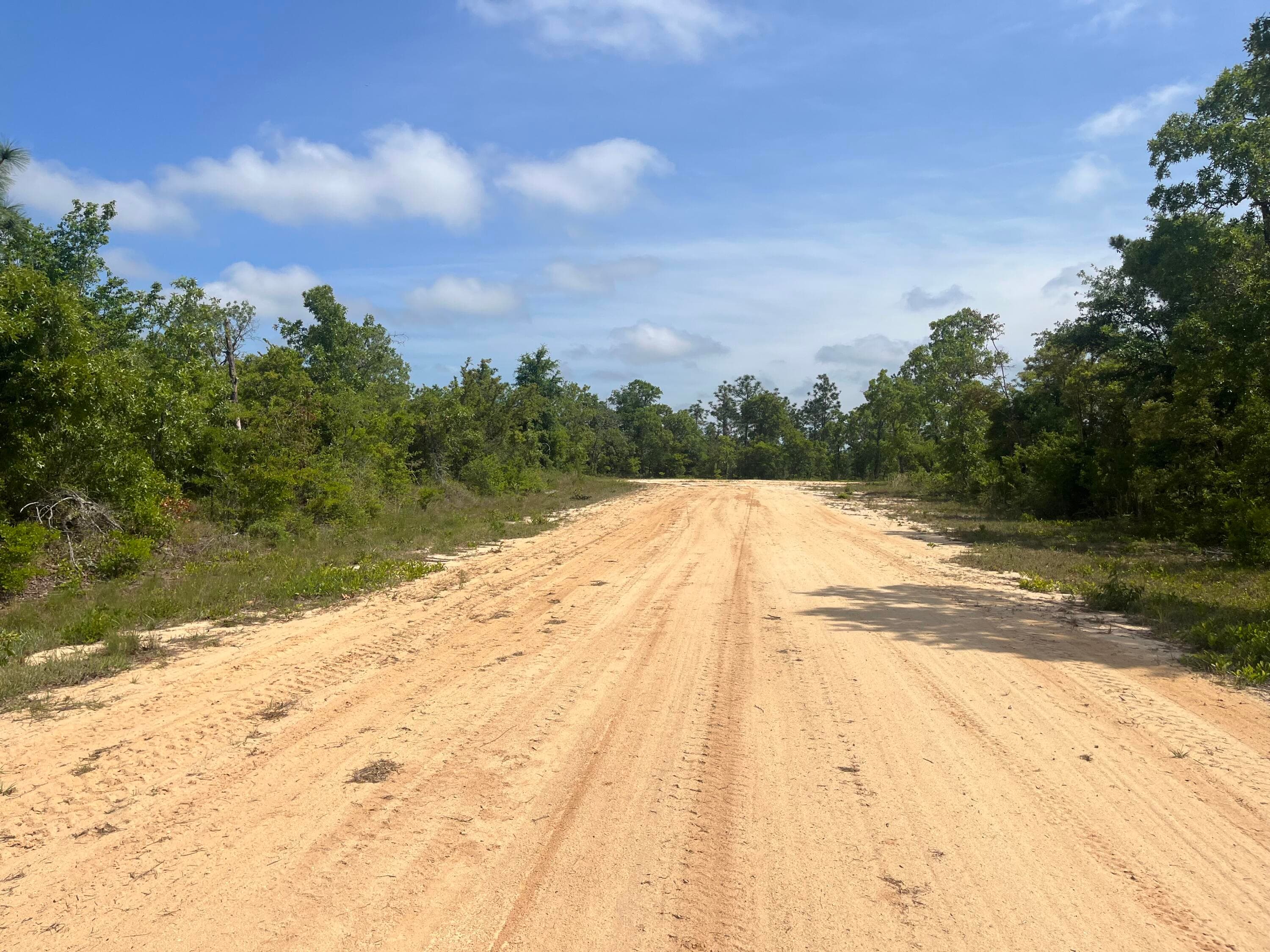 Tbd Rome Avenue, Alford, FL 32420 — photo 2 of 13