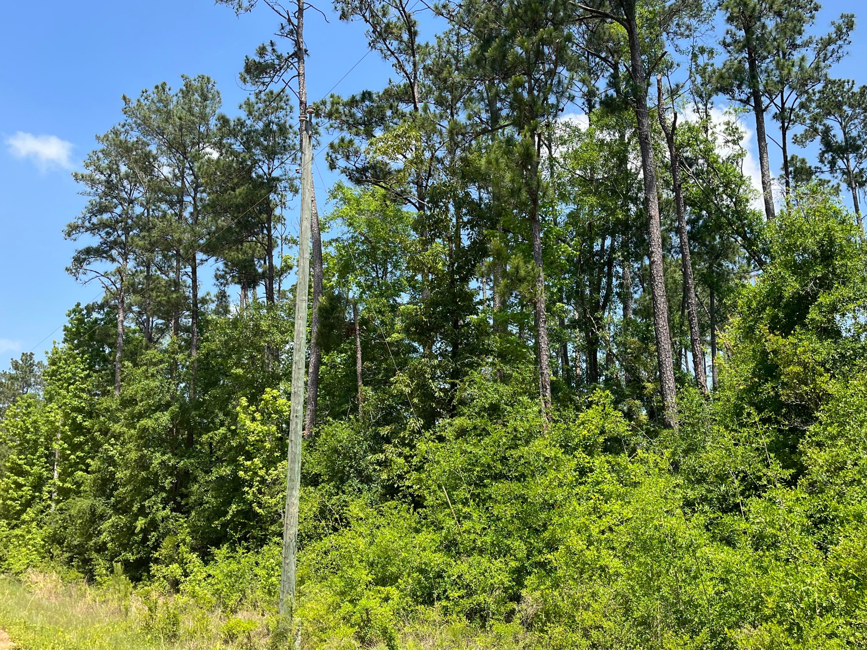 Tbd Grand Quiviera Circle, Alford, FL 32420 — photo 4 of 14