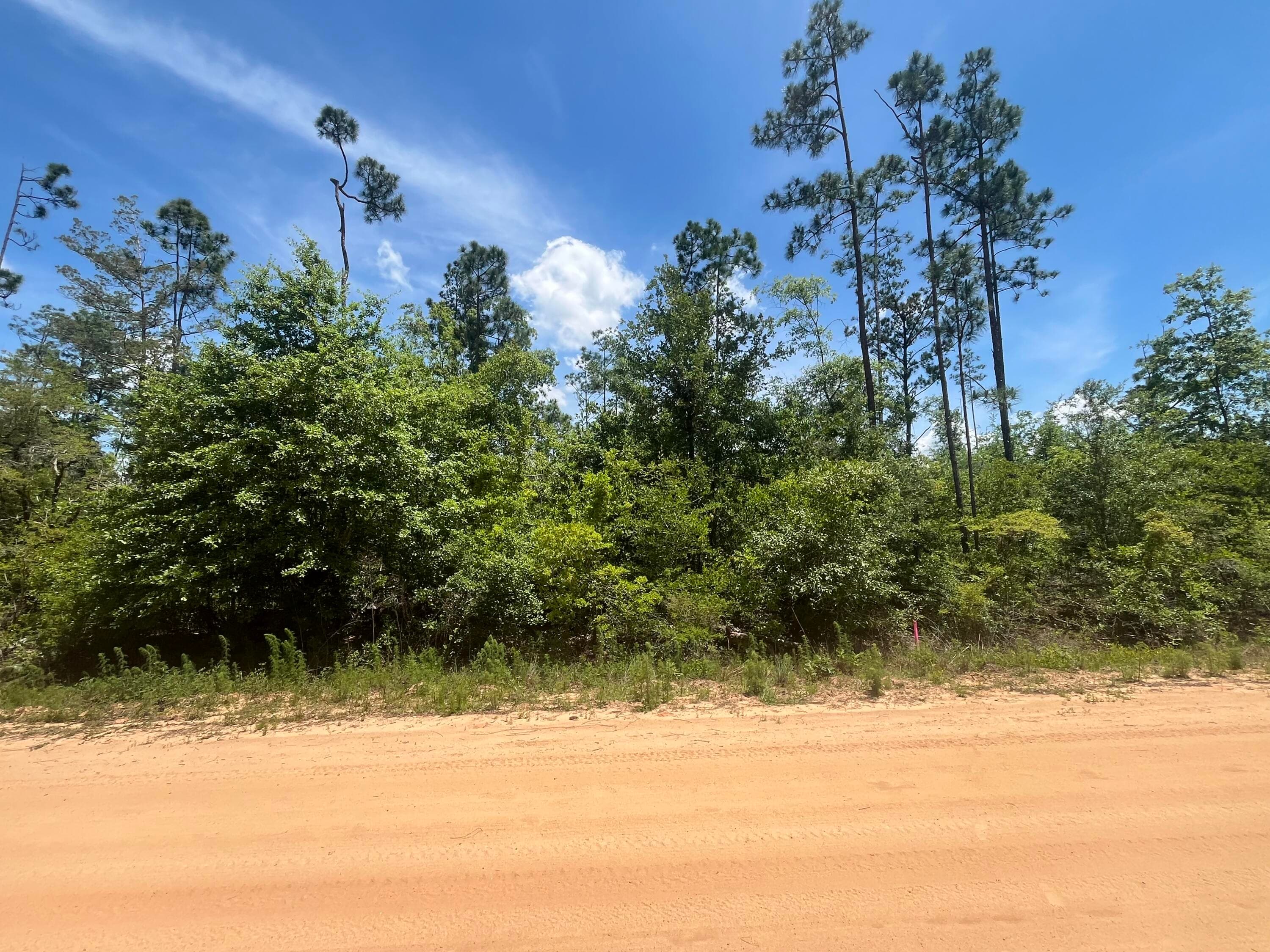 Tbd Tamarac Road, Marianna, FL 32448 — photo