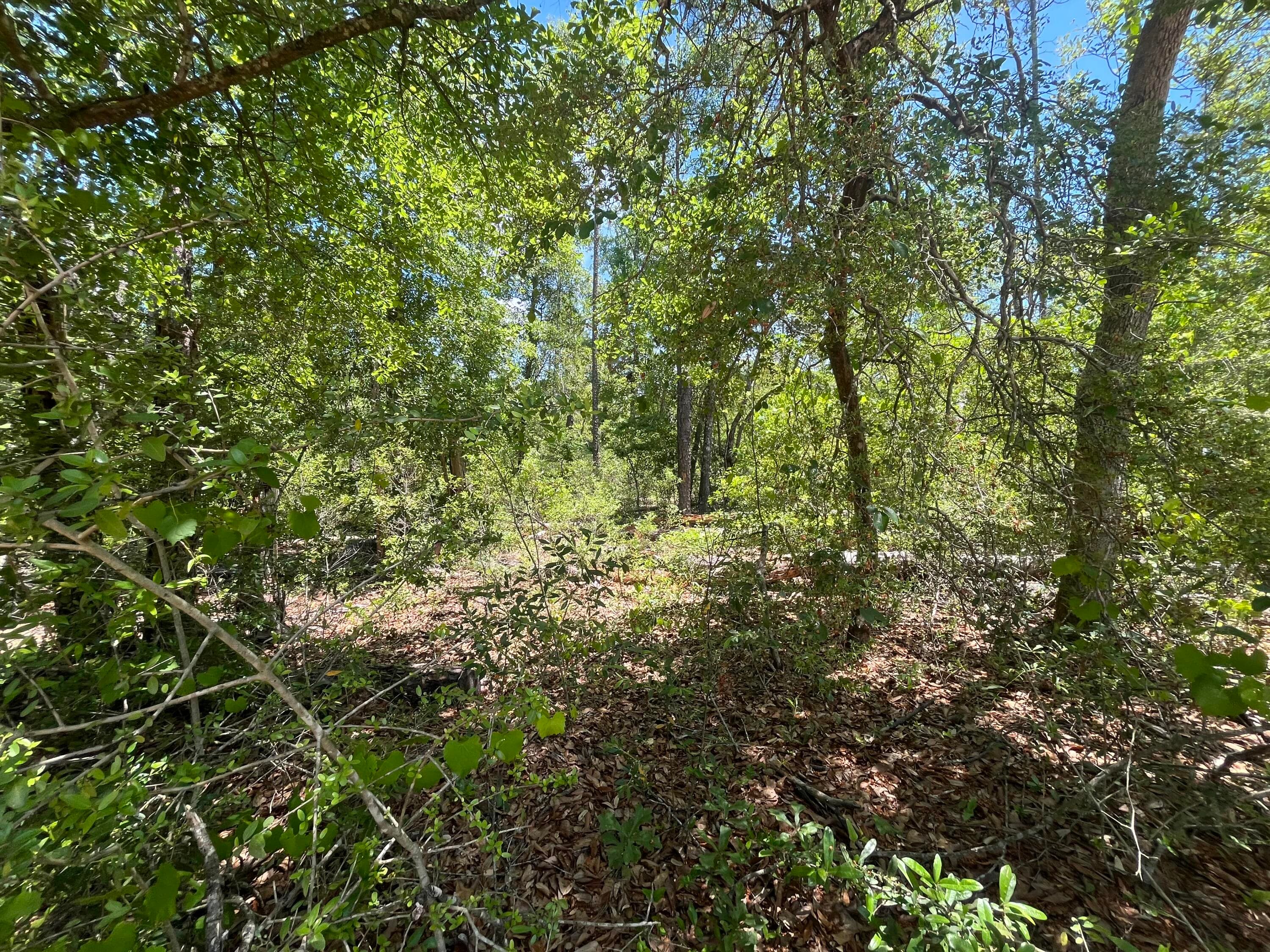 Tbd Tamarac Road, Marianna, FL 32448 — photo 9 of 9