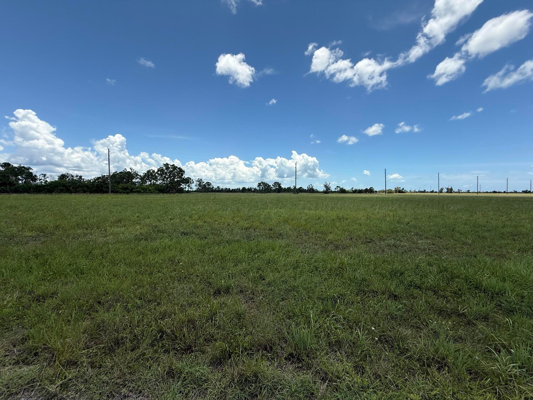 12439 Greenling Way, Placida, FL 33946 — photo 3 of 12