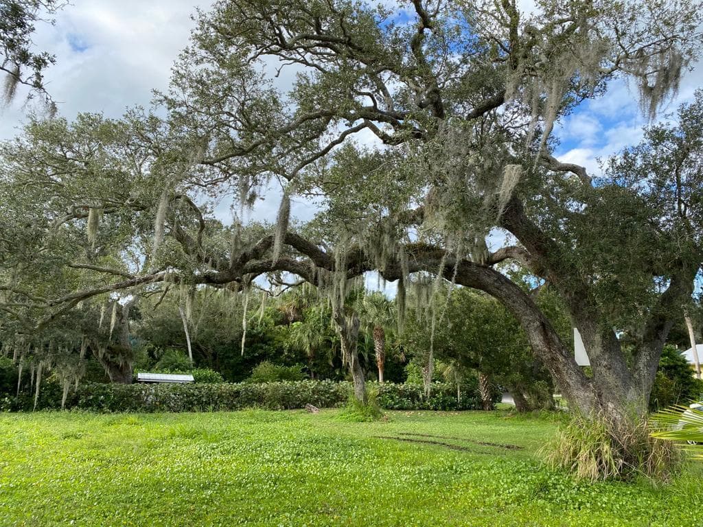 355 Cathedral Oaks Drive, Vero Beach, FL 32963 — photo 4 of 11