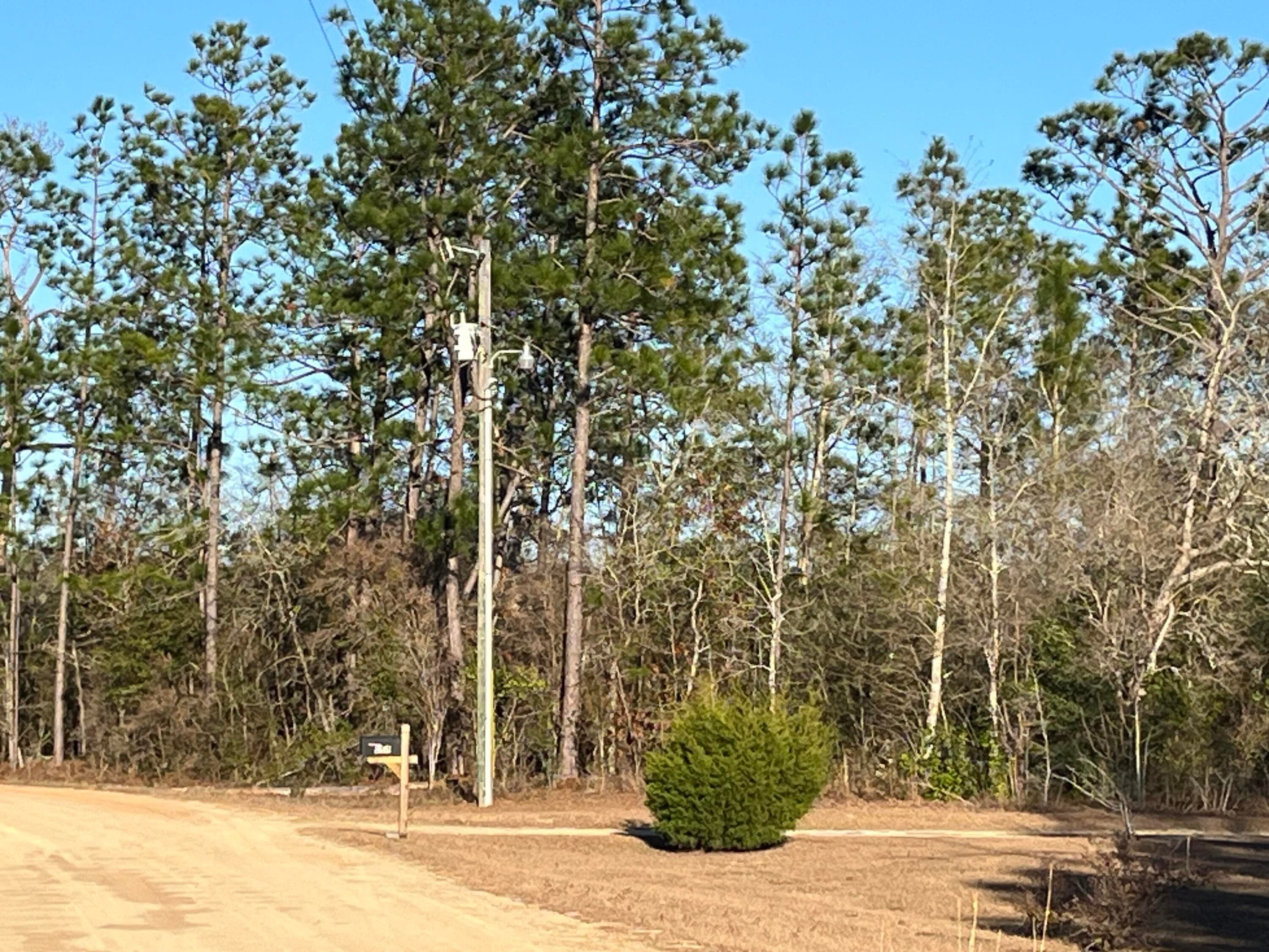 Tbd Goreville, Alford, FL 32420 — photo 2 of 13