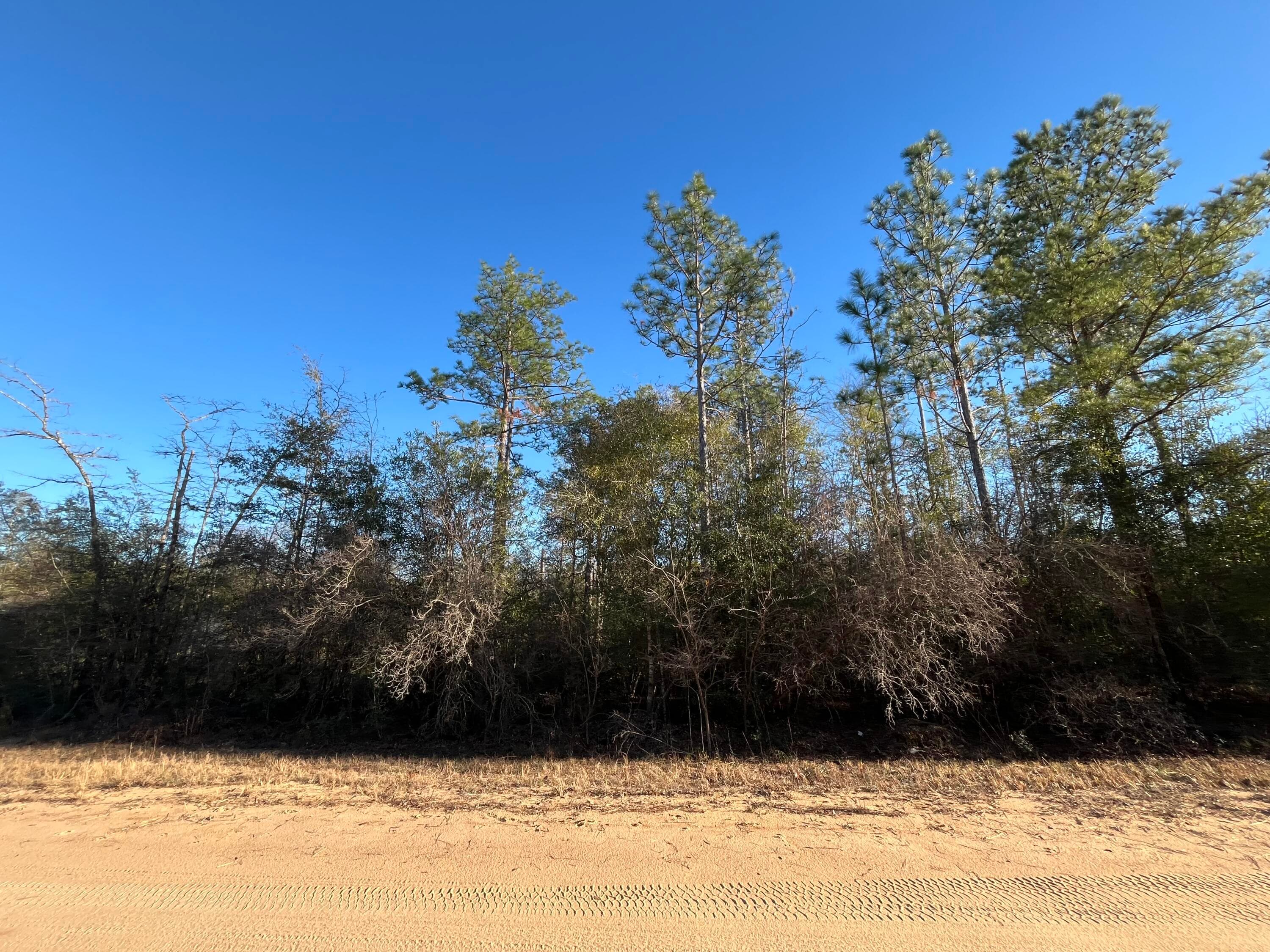 Tbd Goreville, Alford, FL 32420 — photo 3 of 13