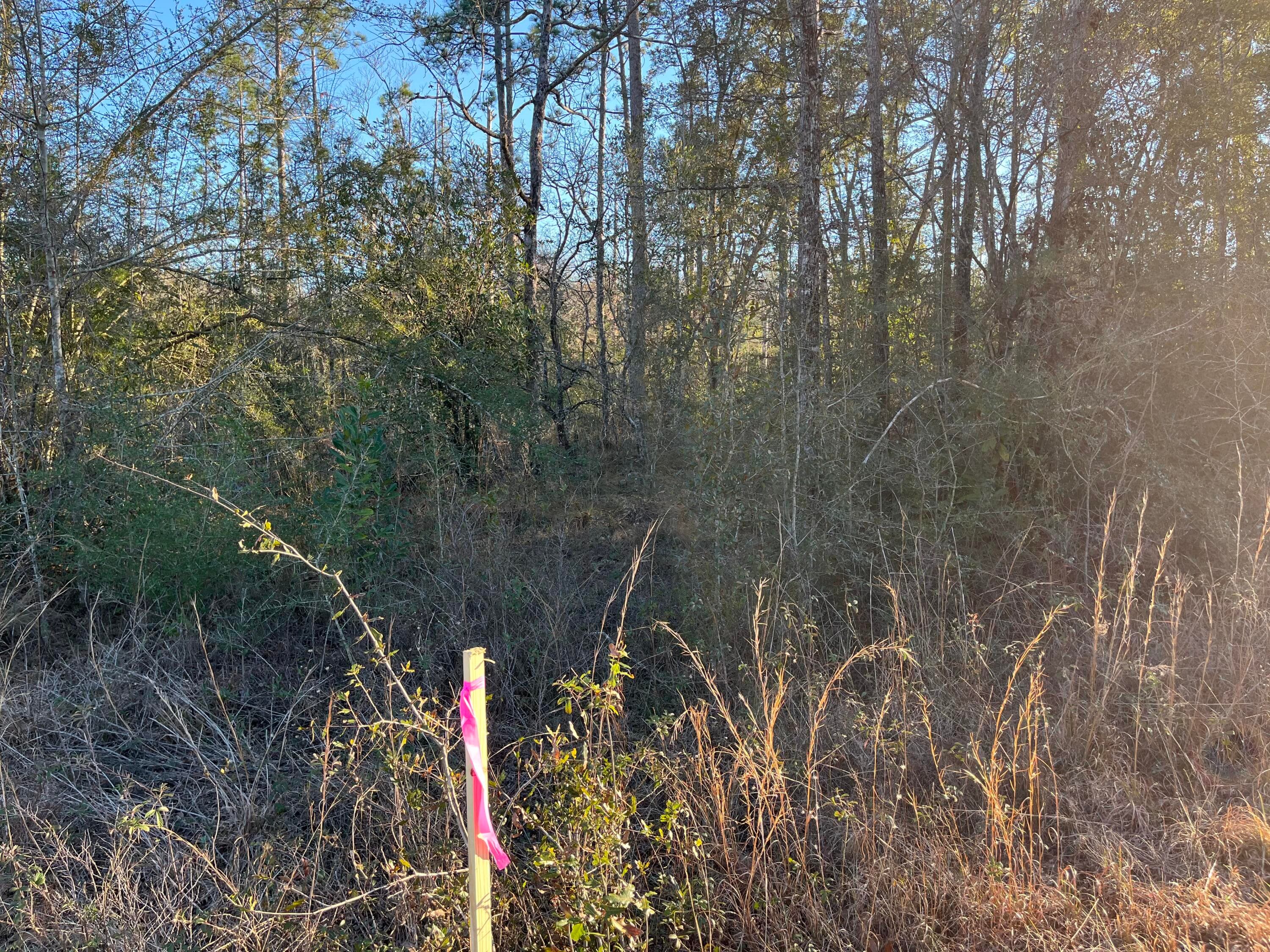 Tbd Goreville, Alford, FL 32420 — photo 7 of 13