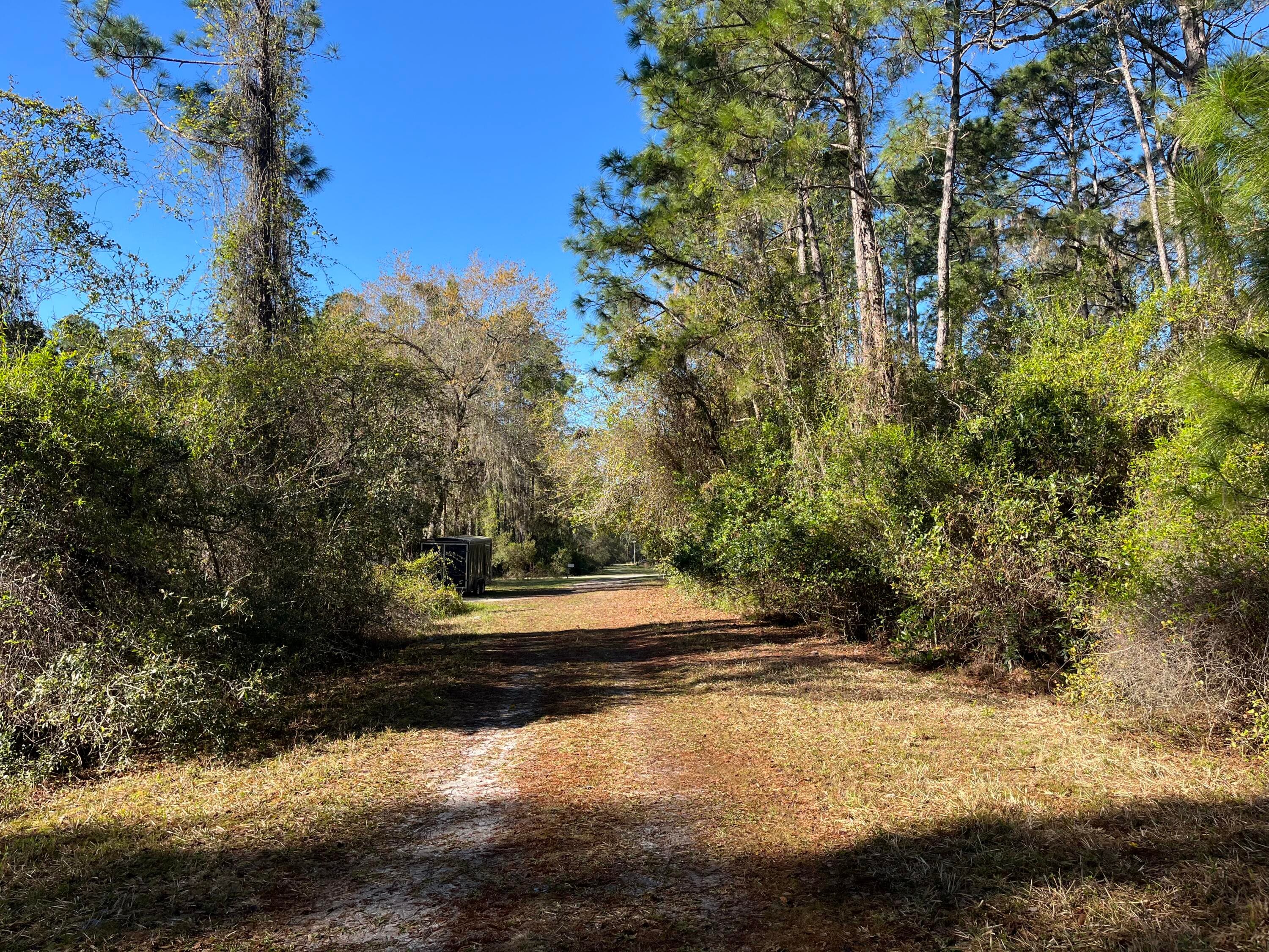 208 SE 3rd Street, Georgetown, FL 32139 — photo 4 of 5