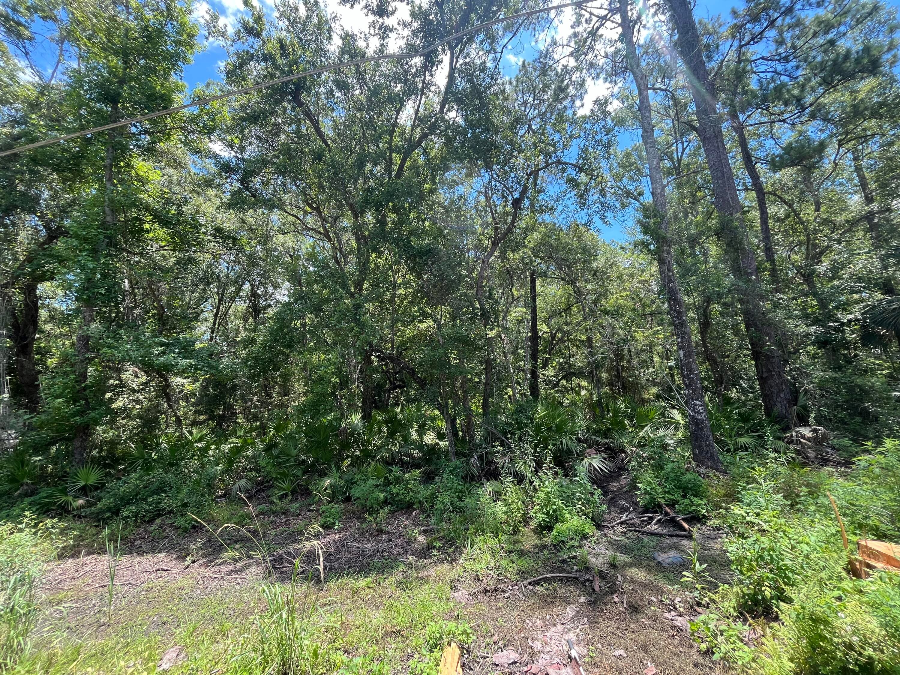 Tbd Franklin Drive, Crawfordville, FL 32327 — photo