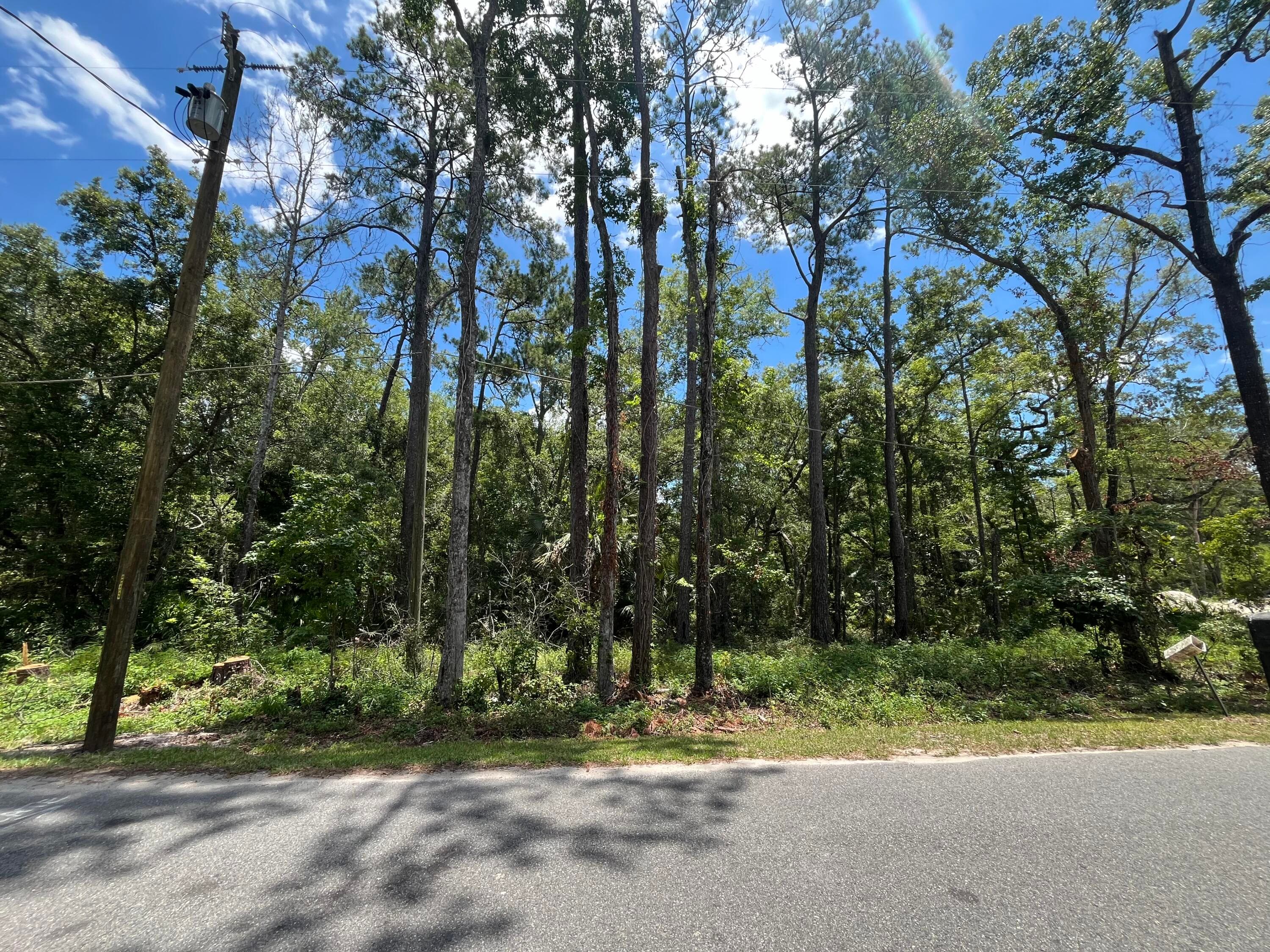 Tbd Franklin Drive, Crawfordville, FL 32327 — photo 2 of 10