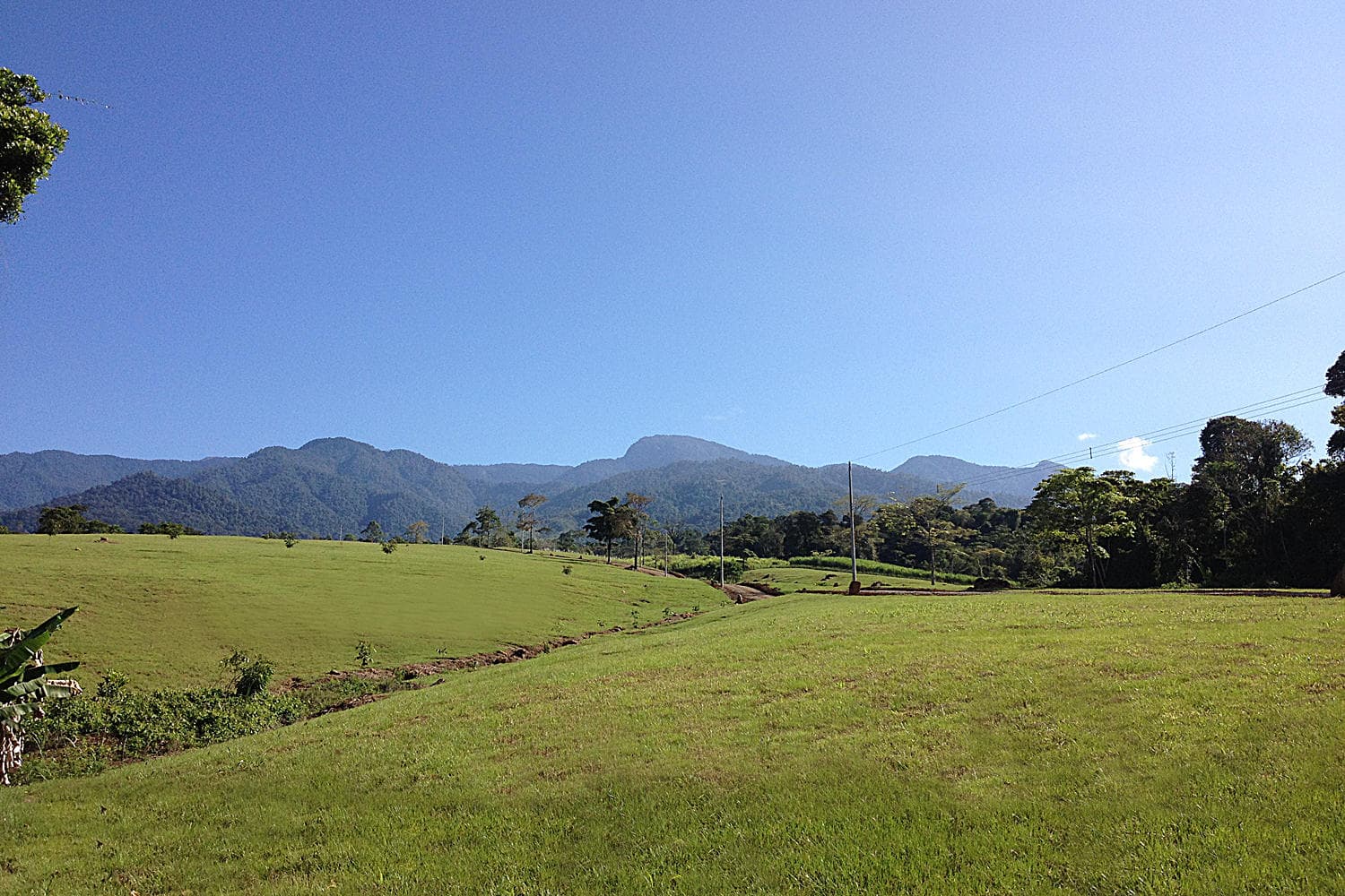000000 Quintas Berninas — photo 5 of 18