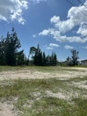 2134 NW 23rd Avenue, Cape Coral, FL 33993 — photo 33 of 43