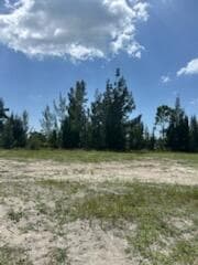 824 NE 23rd Terrace, Cape Coral, FL 33909 — photo 4 of 42