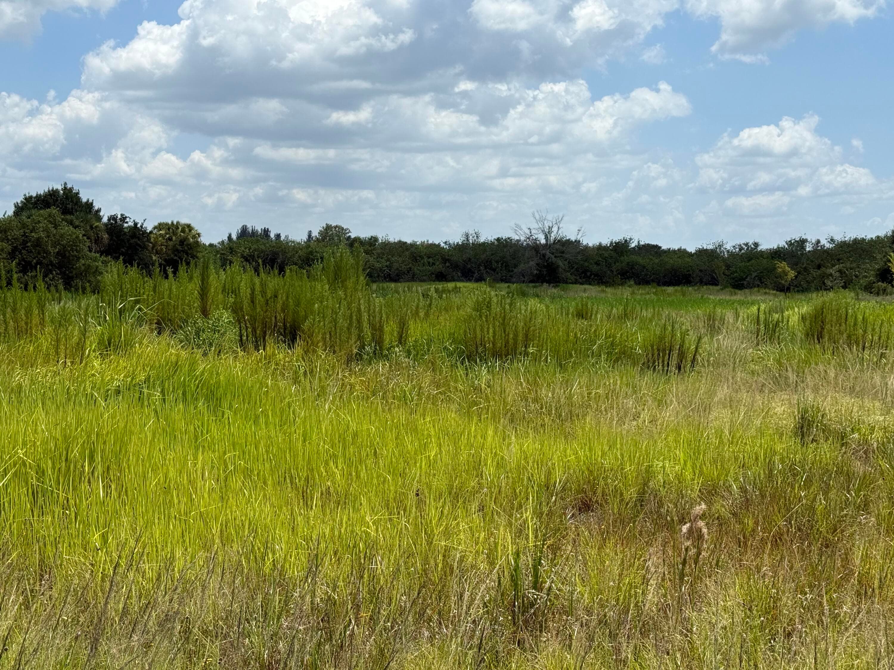 305 Fawn Trail Street, Palm Bay, FL 32909 — photo 11 of 20