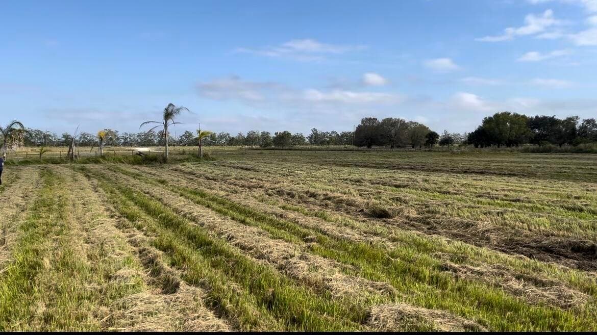 1503 S Header Canal Road, Fort Pierce, FL 34945 — photo 2 of 11