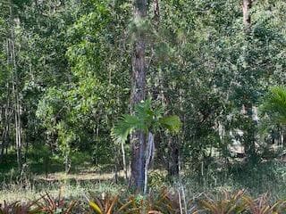 000 129th Avenue N, Royal Palm Beach, FL 33411 — photo 7 of 7