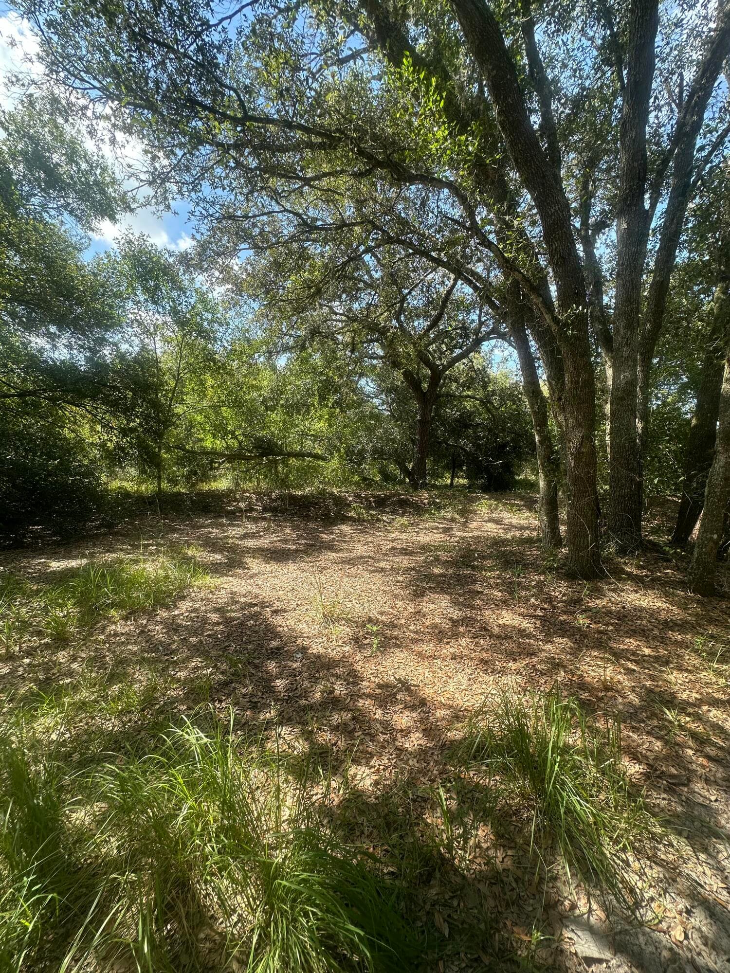 22128 NW 258th Street, Okeechobee, FL 34972 — photo 2 of 7
