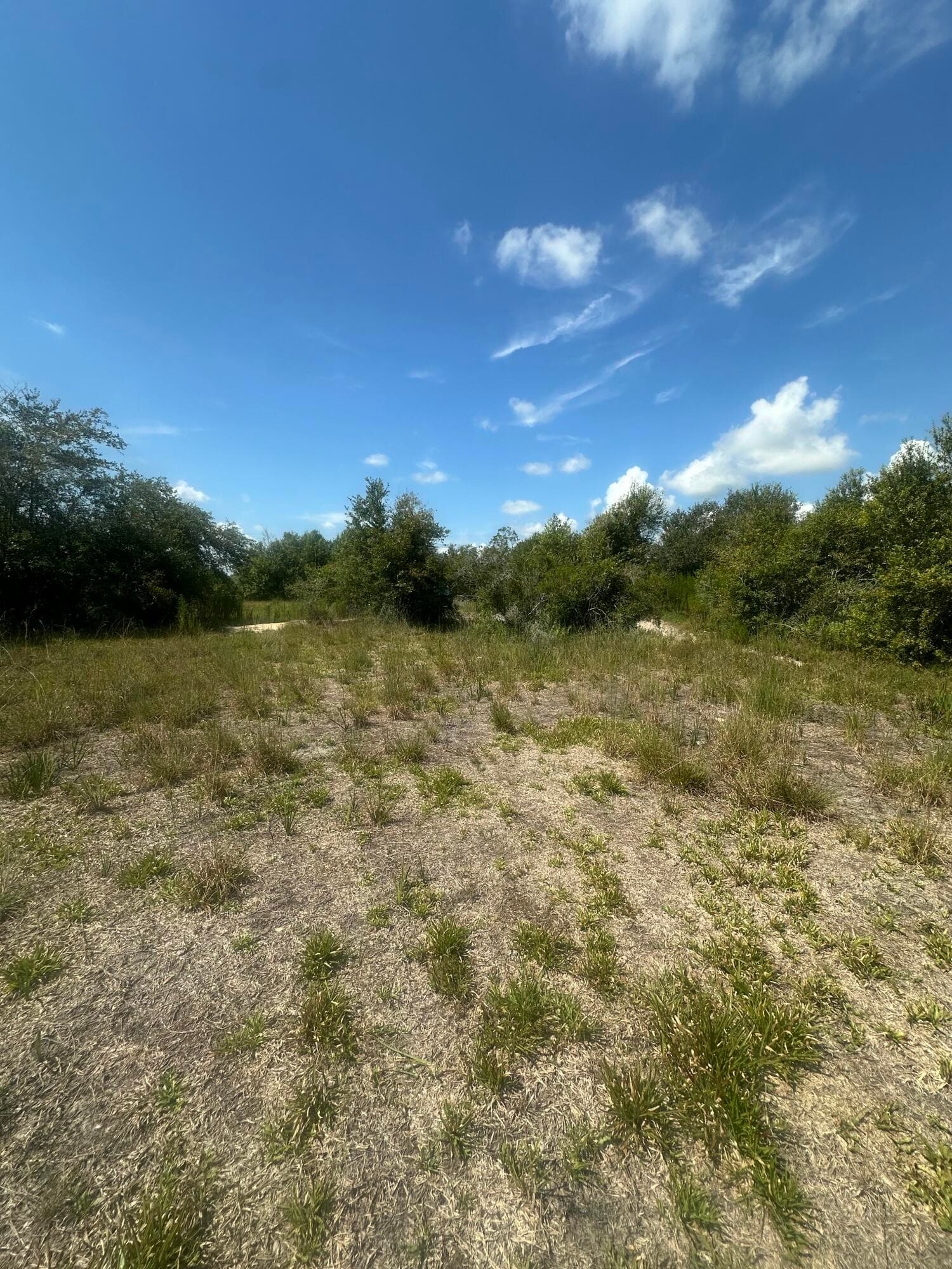 22128 NW 258th Street, Okeechobee, FL 34972 — photo 6 of 7