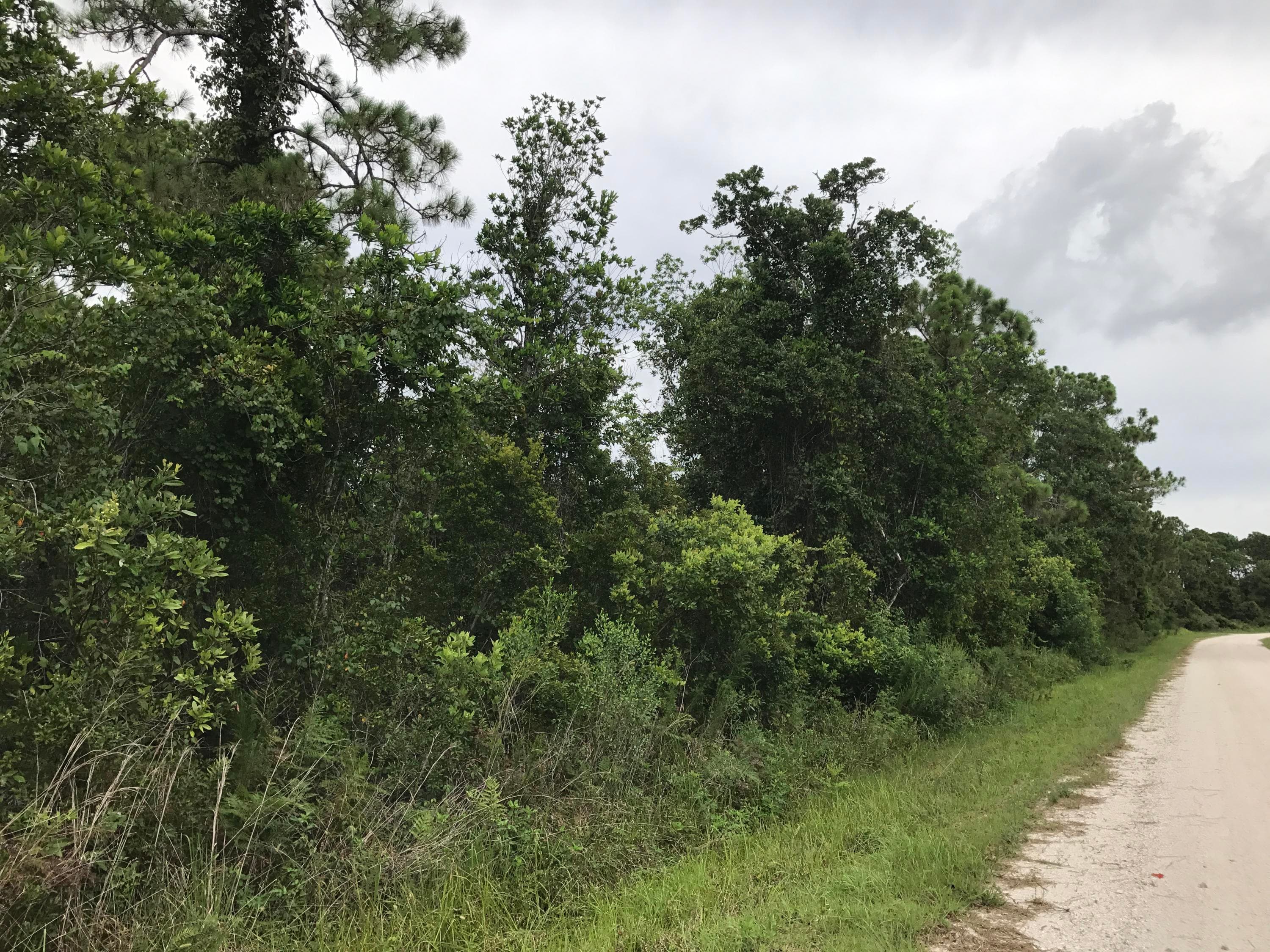 1126 Greenfield Street, Lake Placid, FL 33852 — photo